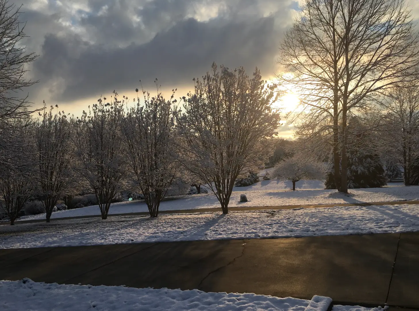 Snow-covered trees line a quiet road under a cloudy sky with low sunlight shining through branches.
