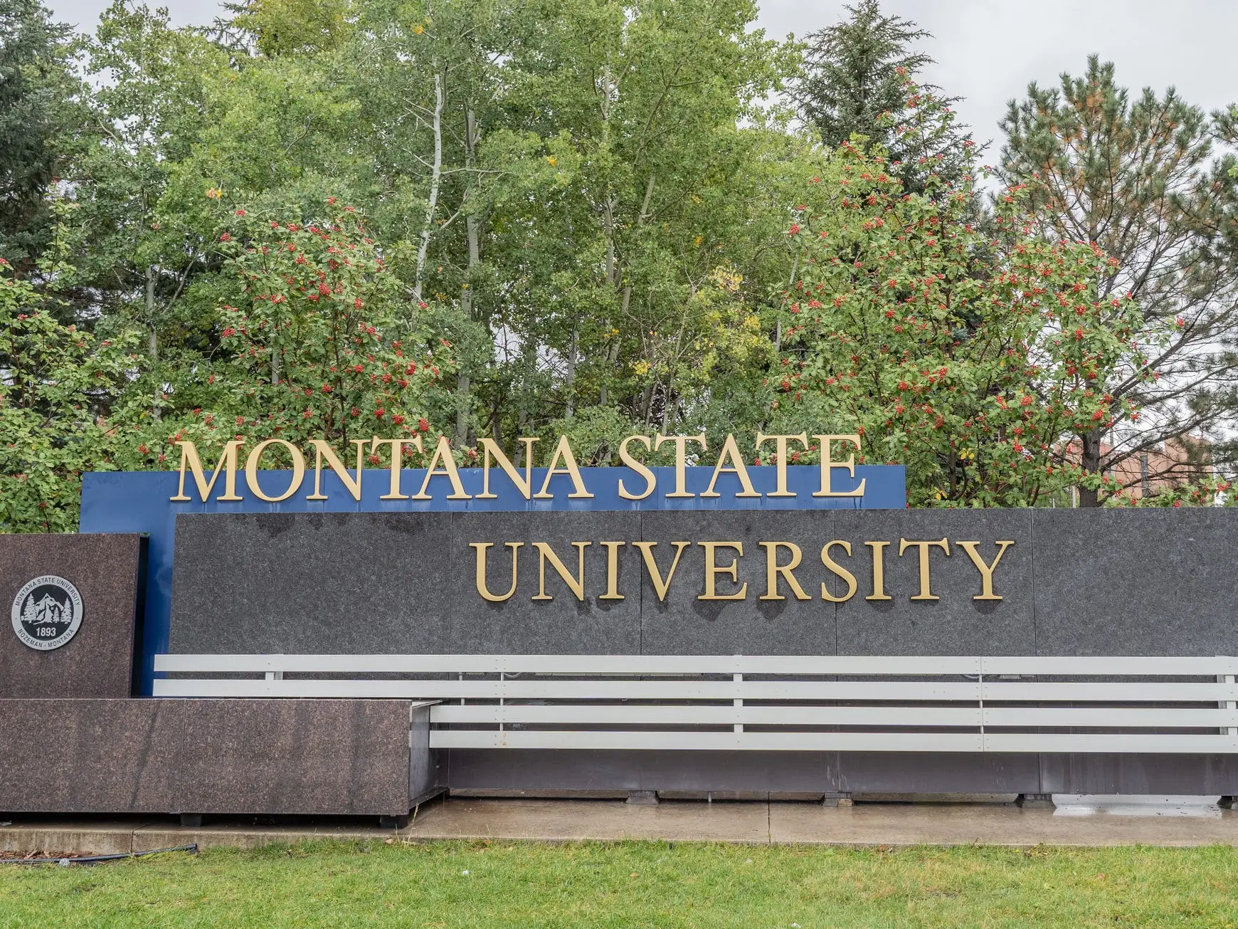 Montana State University entrance sign stands in front of trees and landscaping on campus.