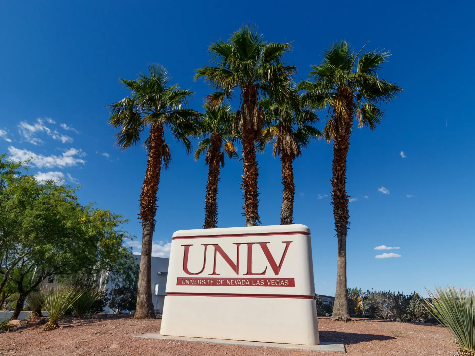 UNLV entrance sign stands in a desert landscape with tall palm trees under a clear blue sky.