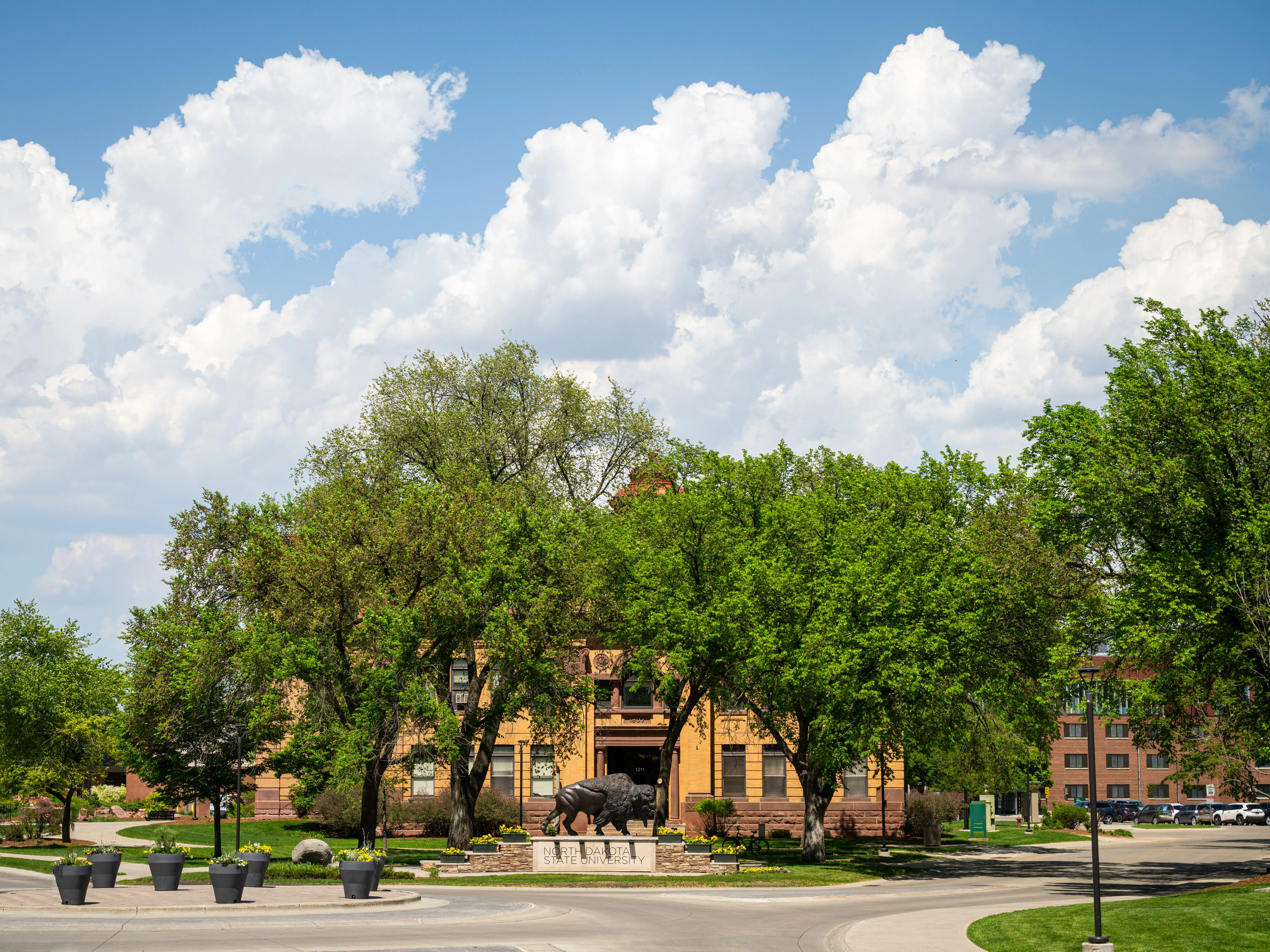 Tree-lined campus or civic building with a buffalo statue sits under large white clouds beside a quiet street.