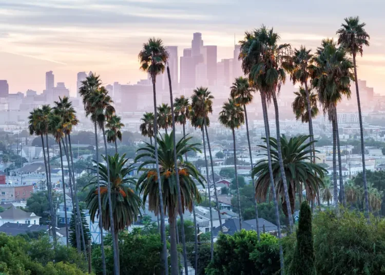 See where aspiring entrepreneurs are showing the most interest in starting a business, ranked