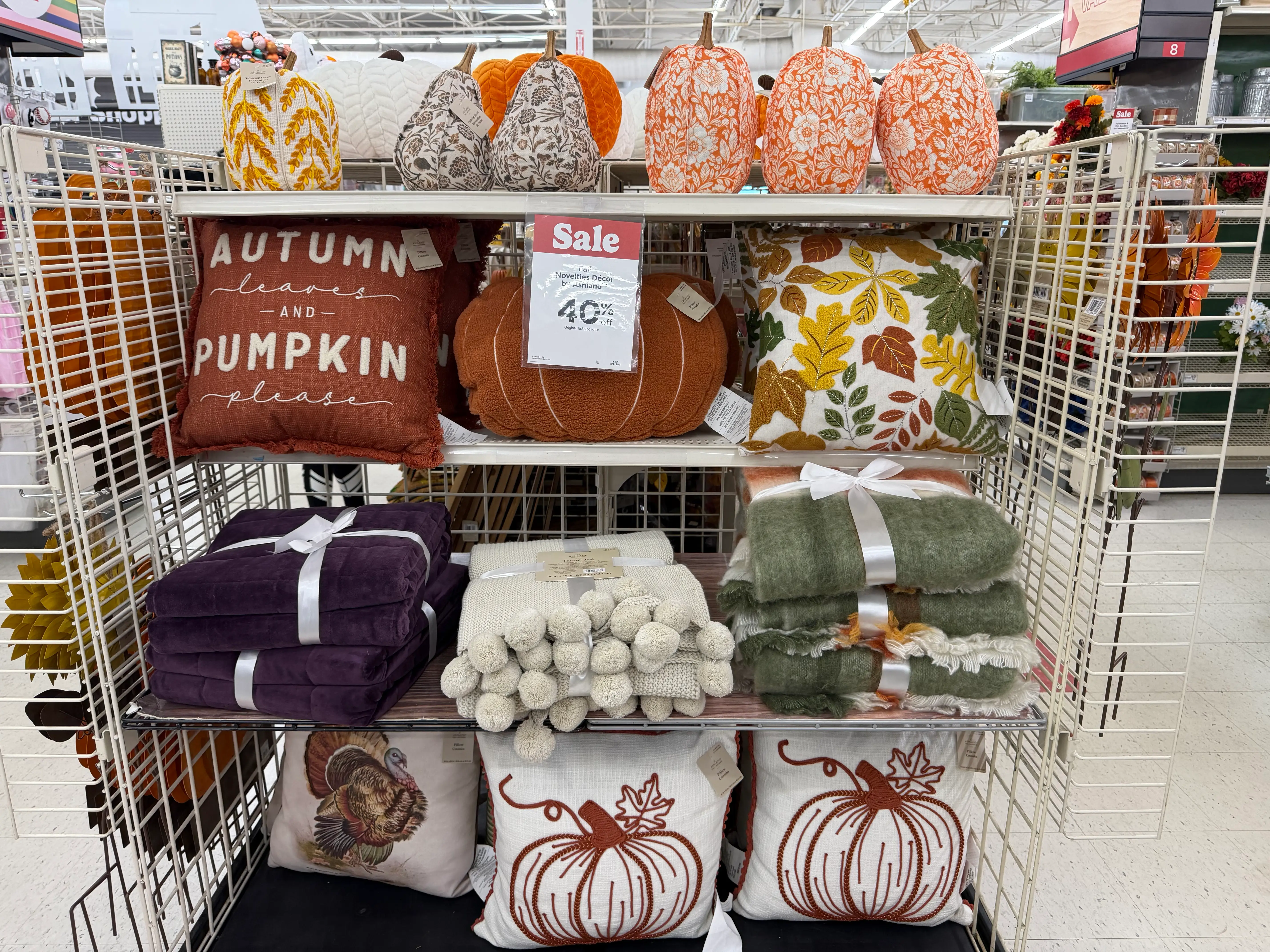 Fall pillows, blankets at Michaels