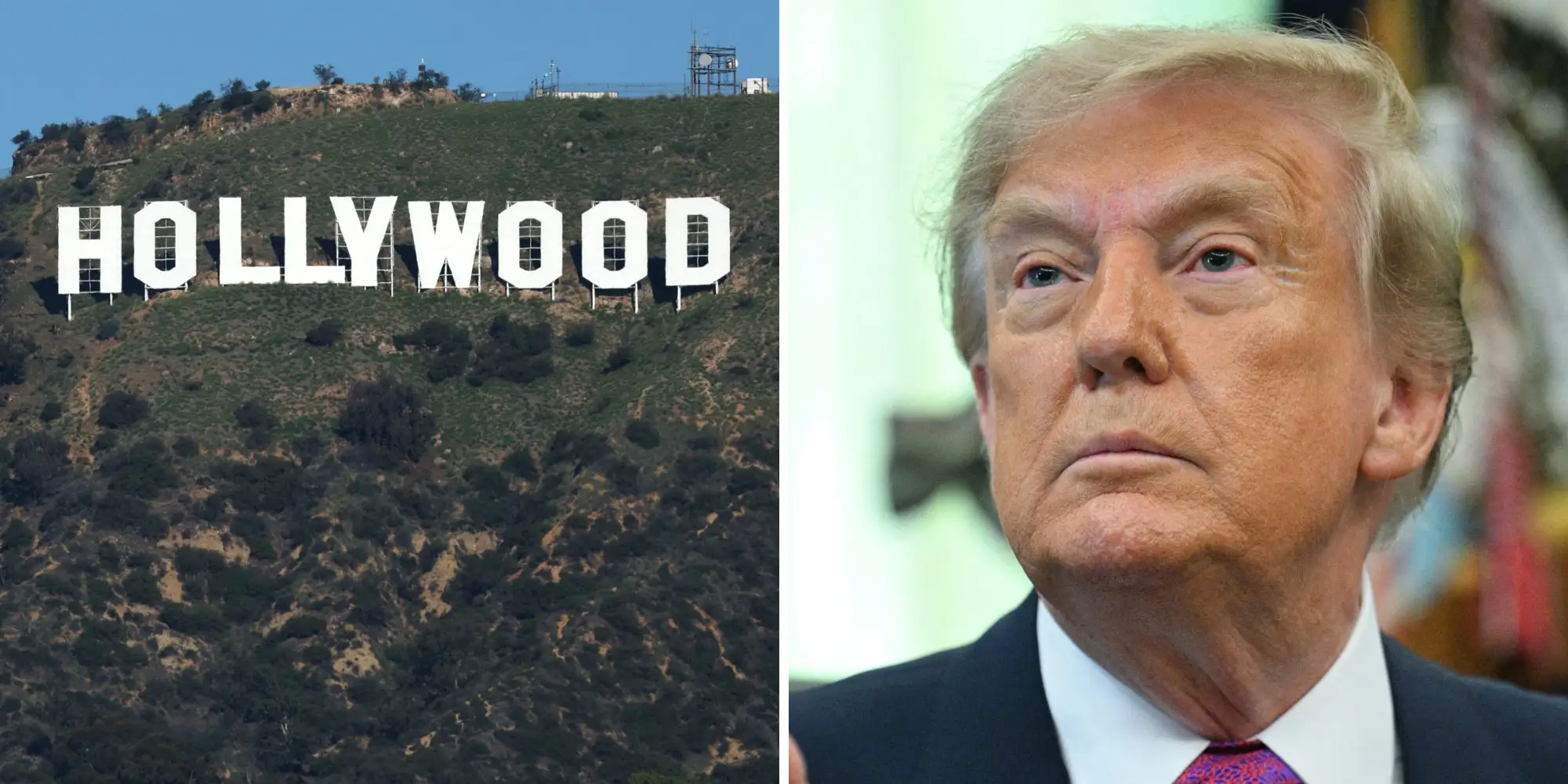 Hollywood Trump