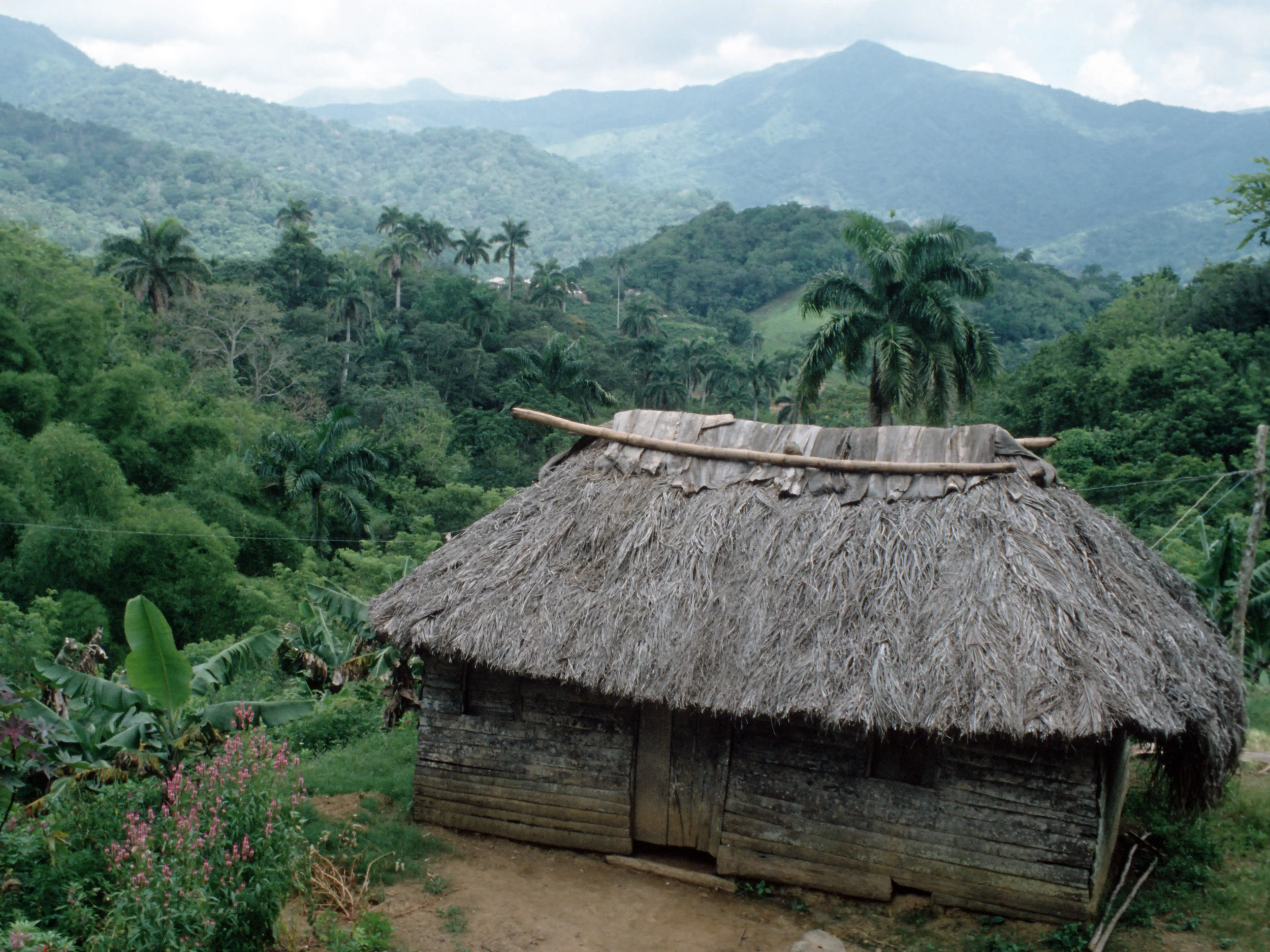 CUBA. TYPICAL BOHIO PEASANT RANCH IN THE ORIENTE EASTERN REGION