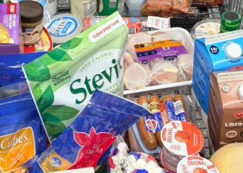 I feed 3 generations under one roof. My $100 Aldi grocery haul always includes these 10 items.