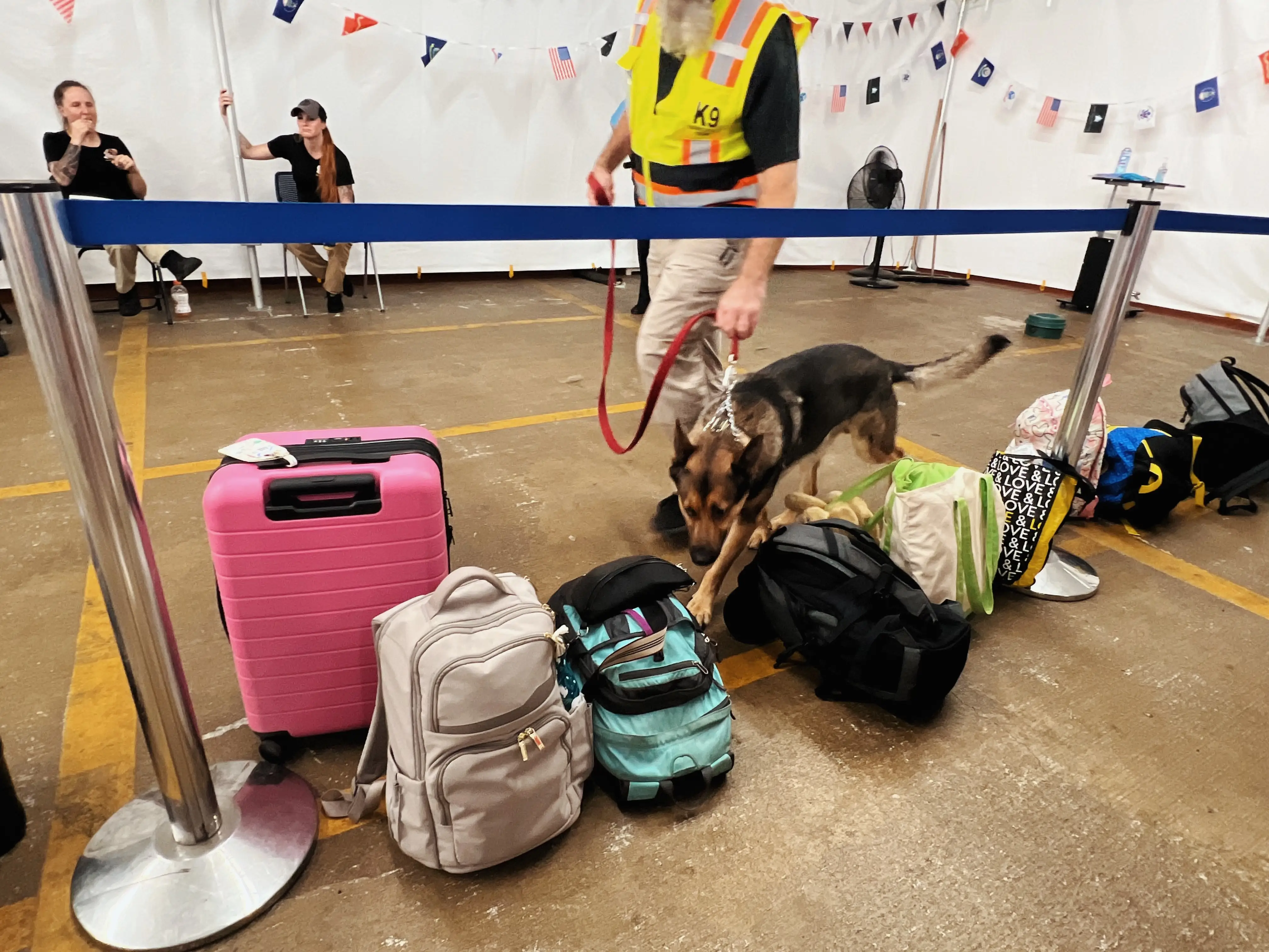 K9 dog examining suitcases, bags