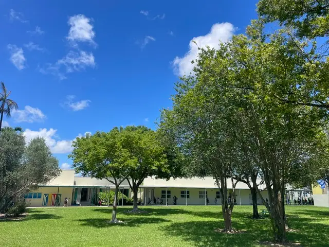 The author's daughter's school