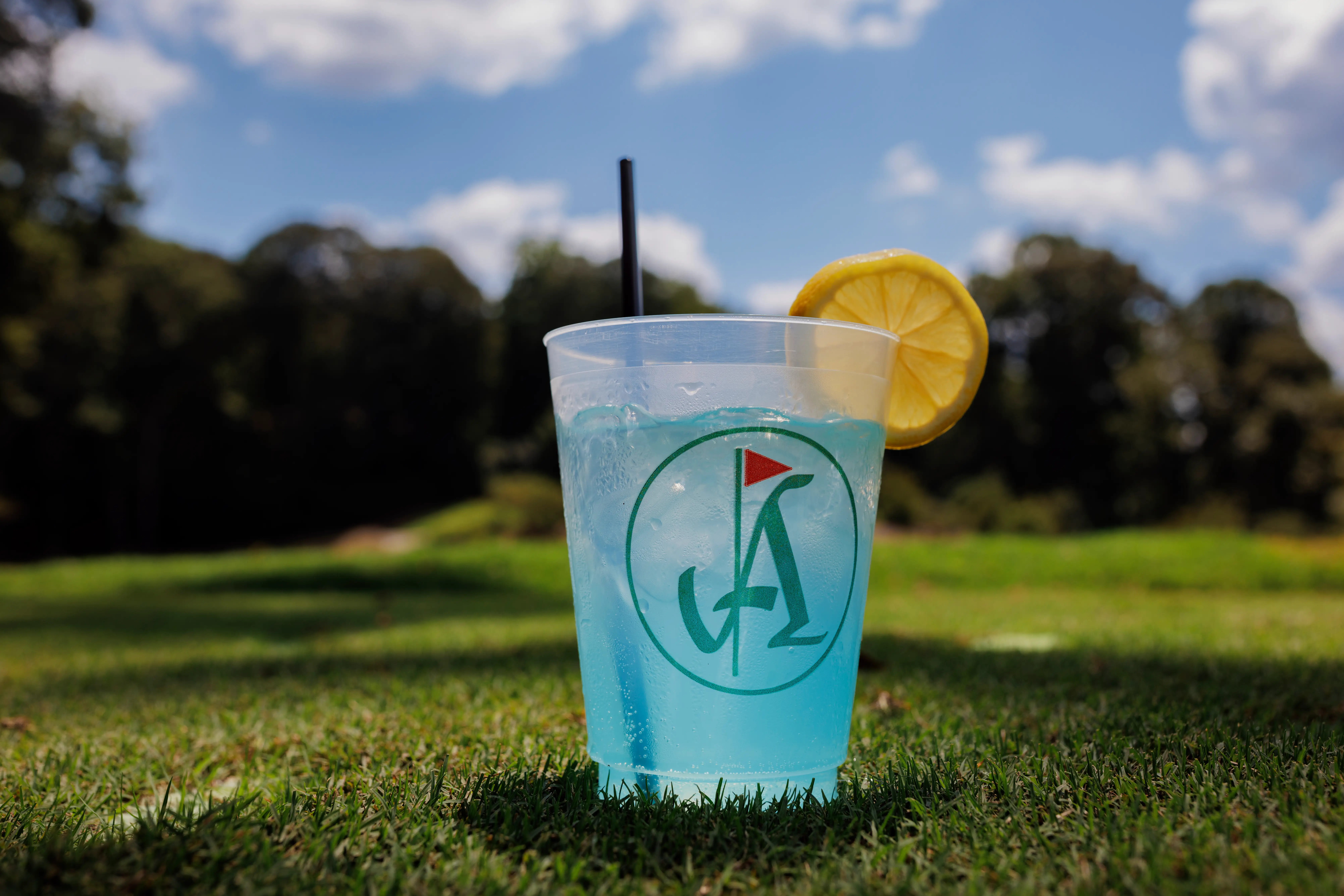 Atlanta Golf club