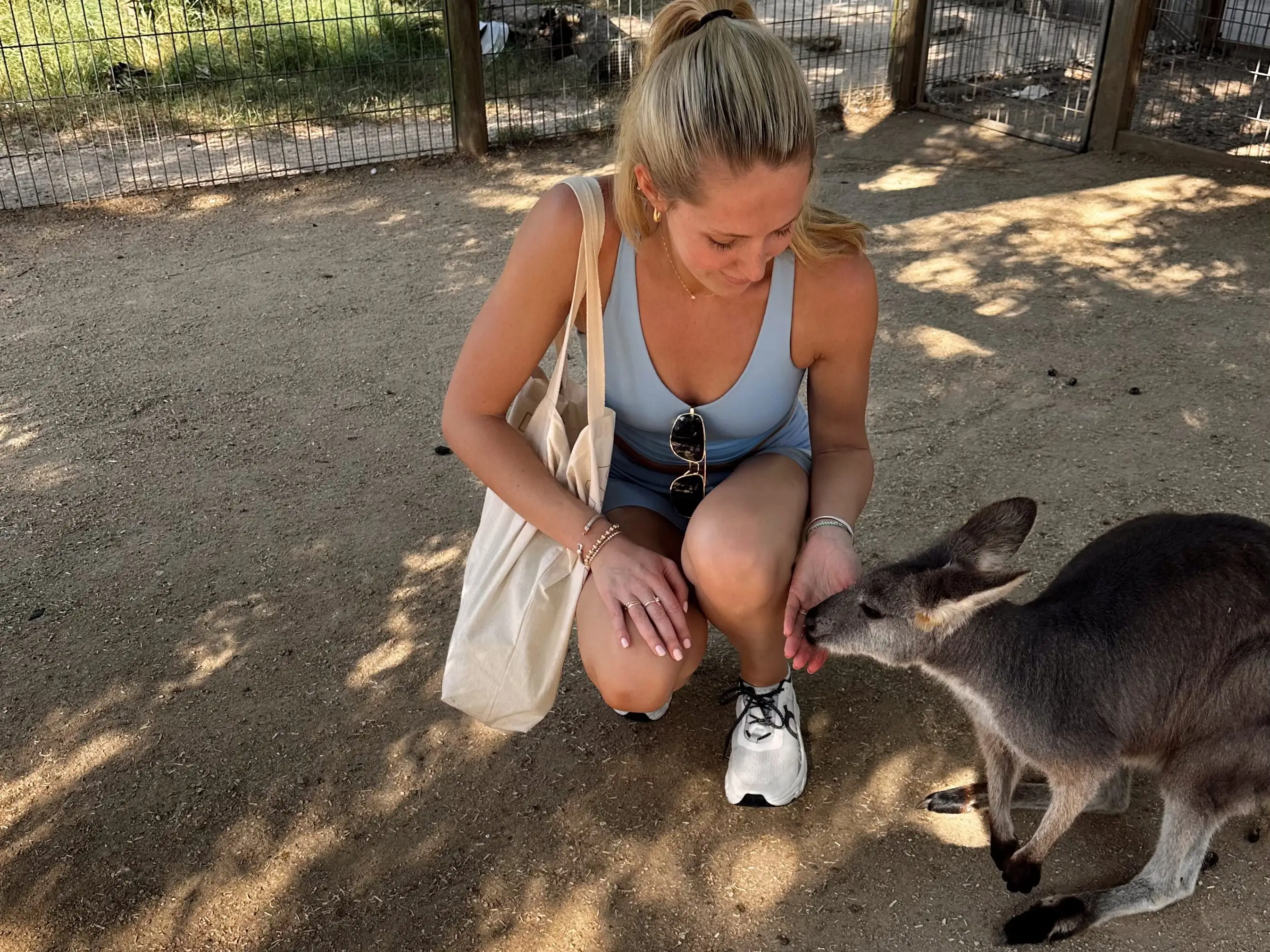 Woman feeding a kangaroo from hand