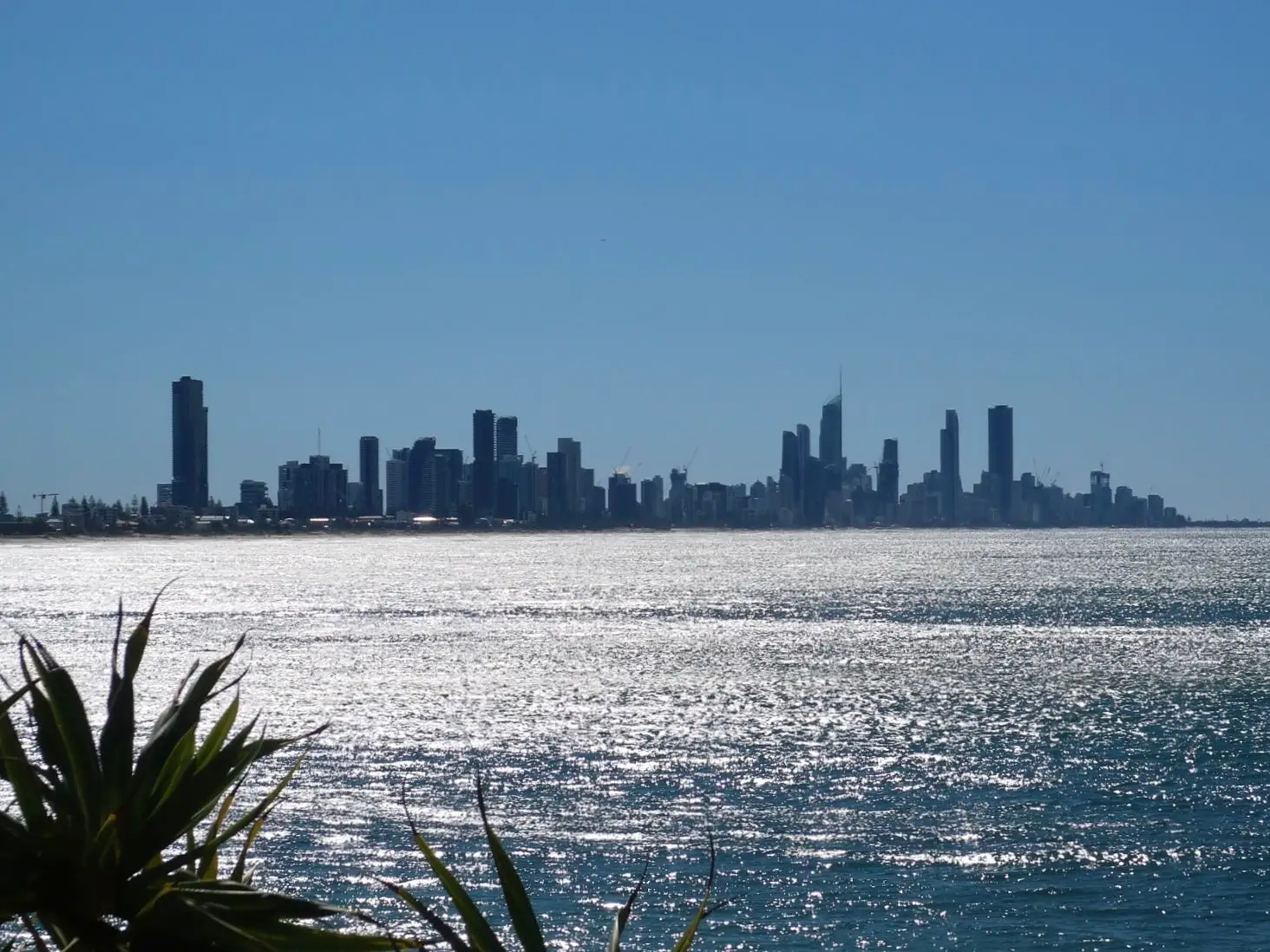 View of Gold Coast skyline