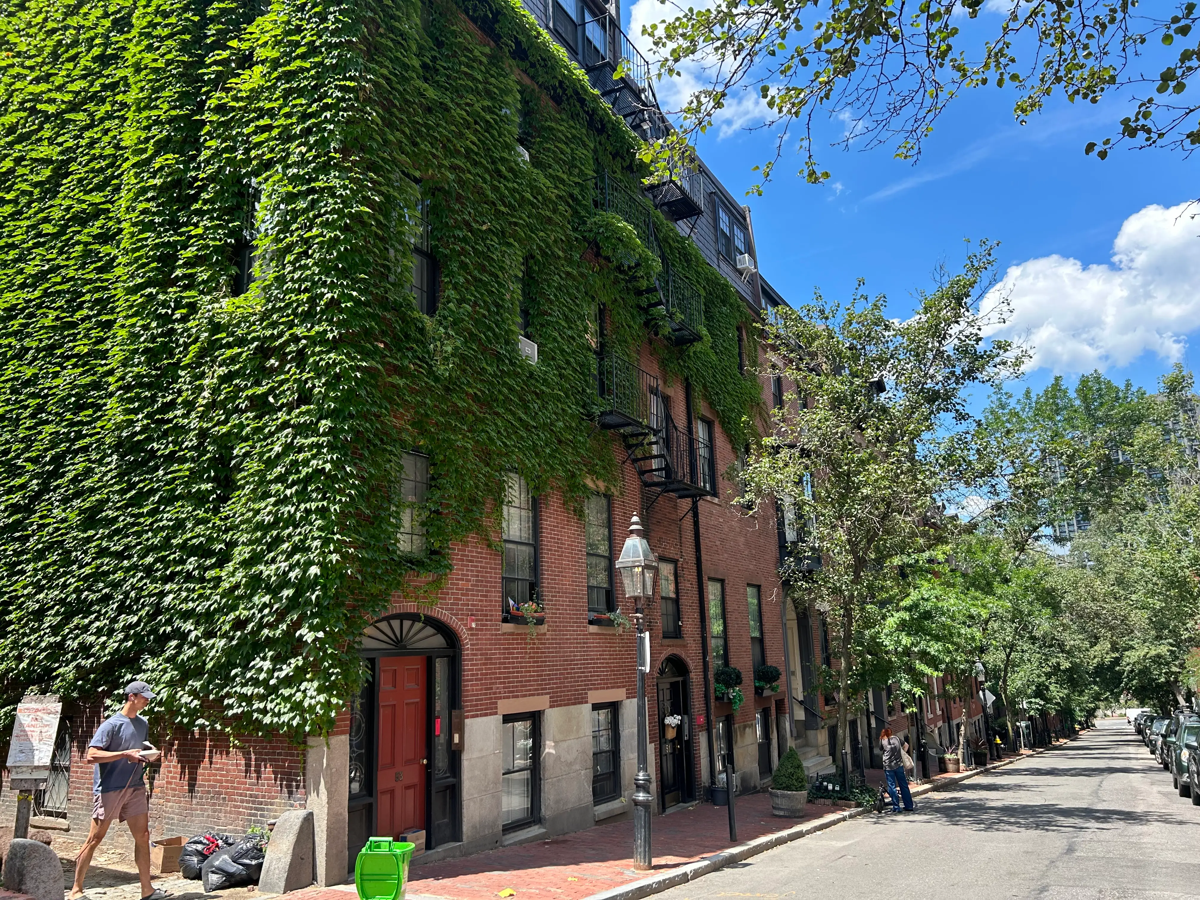 Ivy-covered buildings
