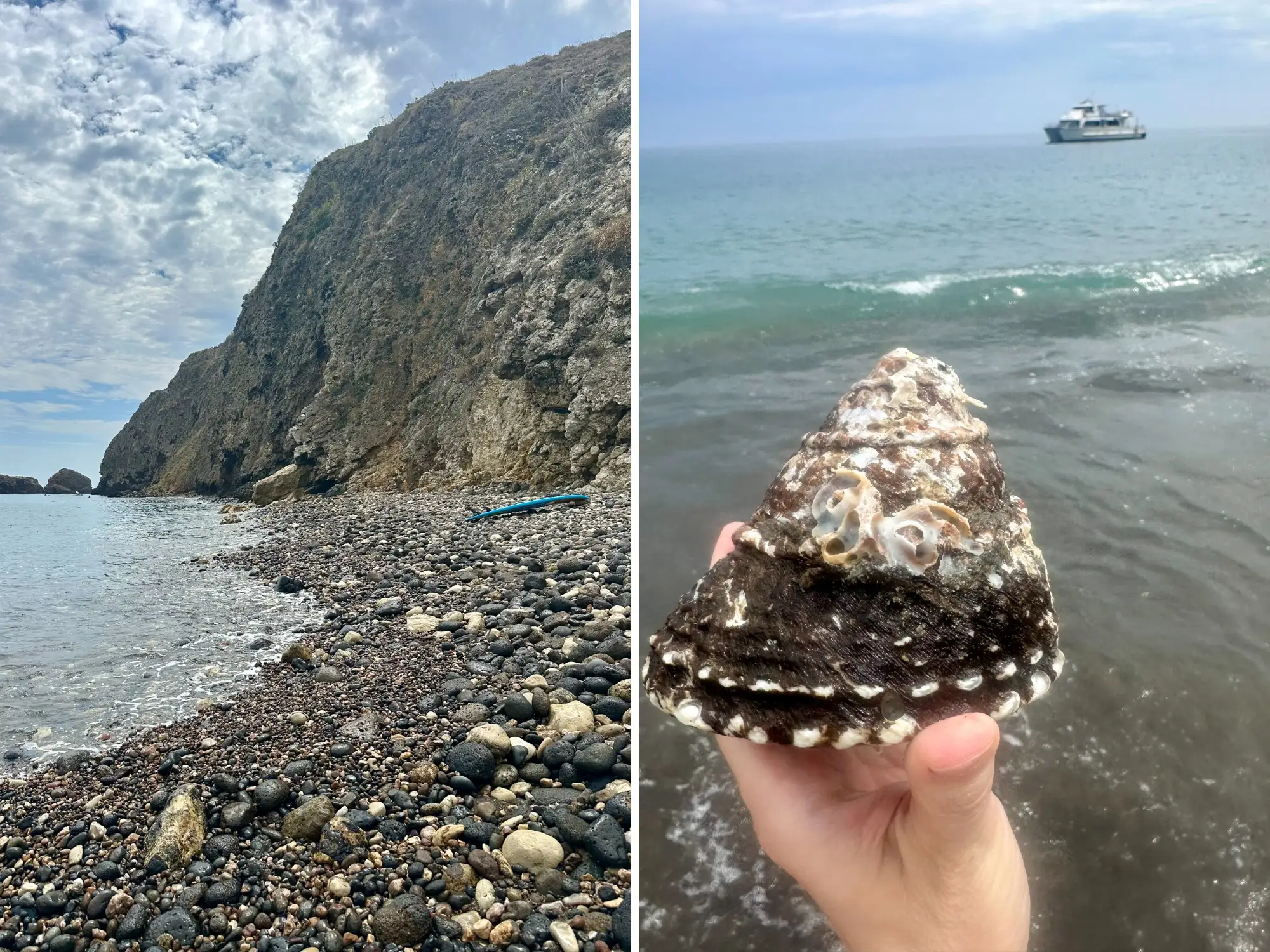 composite image, on the left is a rocky beack, on the right, a hand is holding up a shell