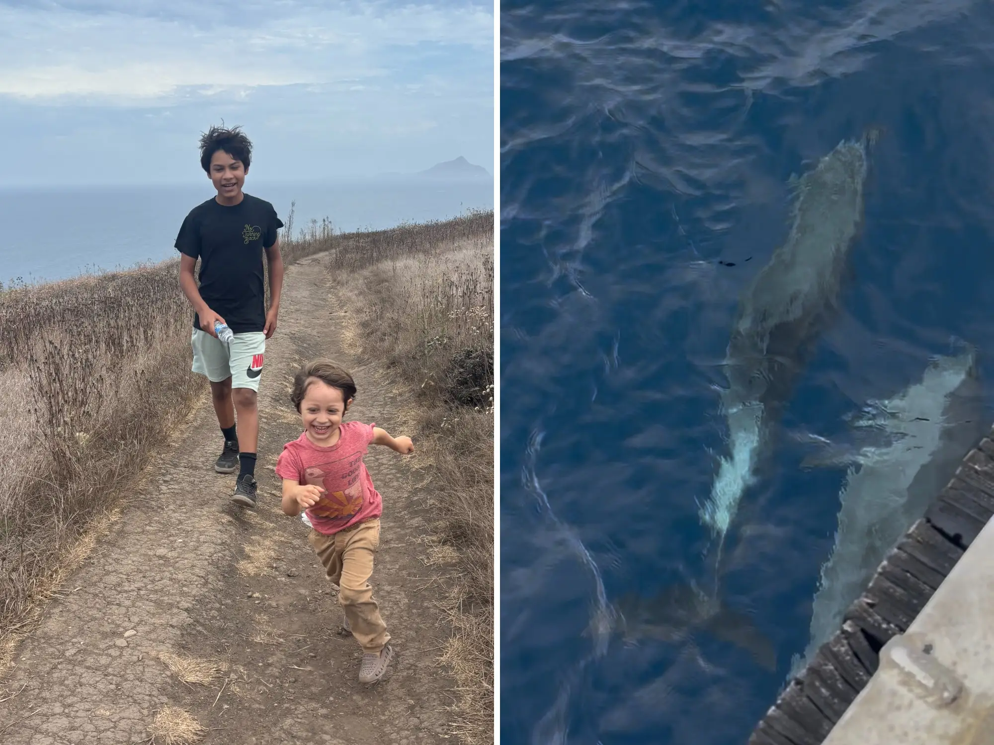 composite image, on the left two of the author's kids are on a hike, on the right dolphins are pictured from above from a boat ride