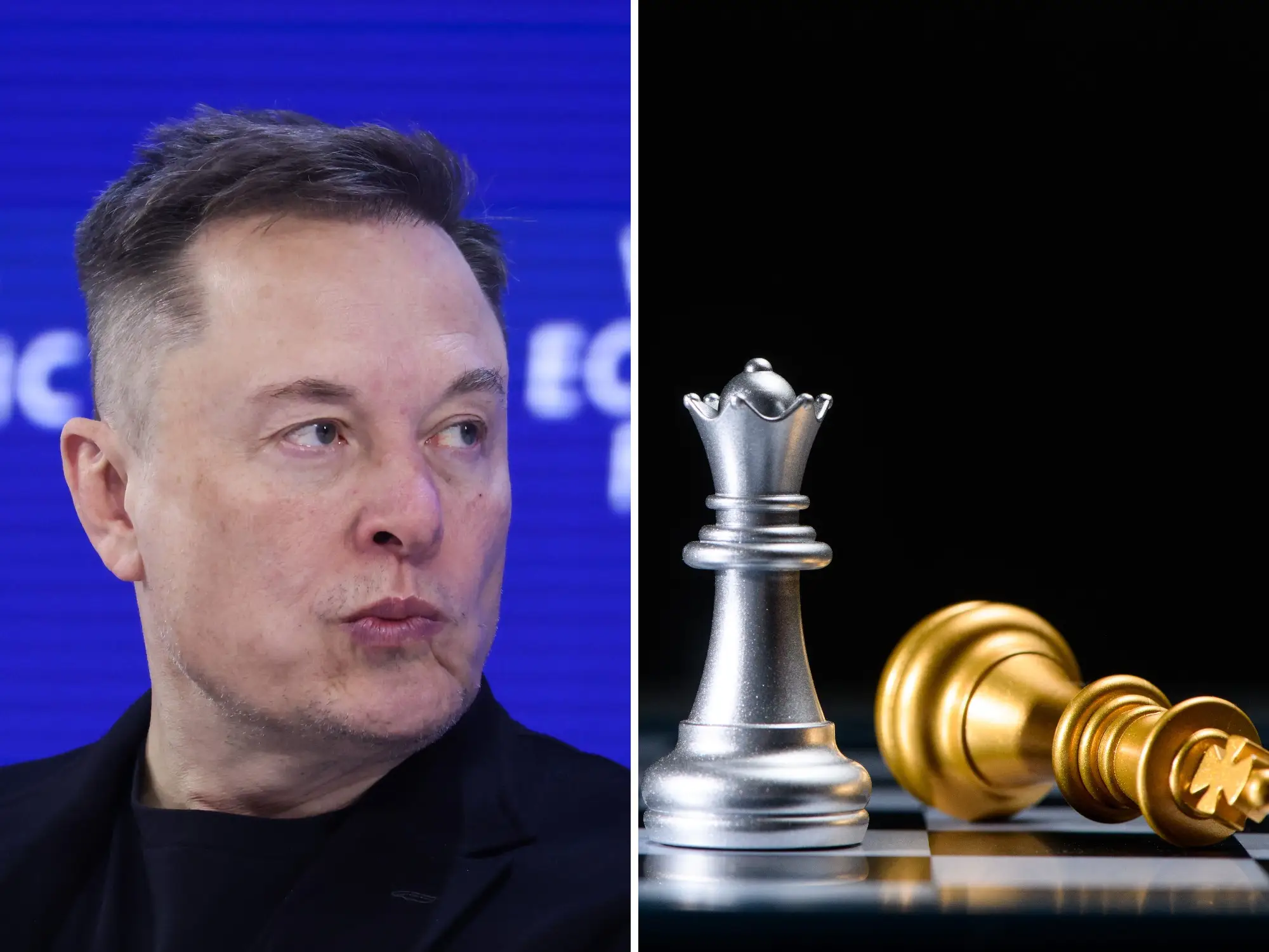 Elon Musk is pictured next to two chess pieces.