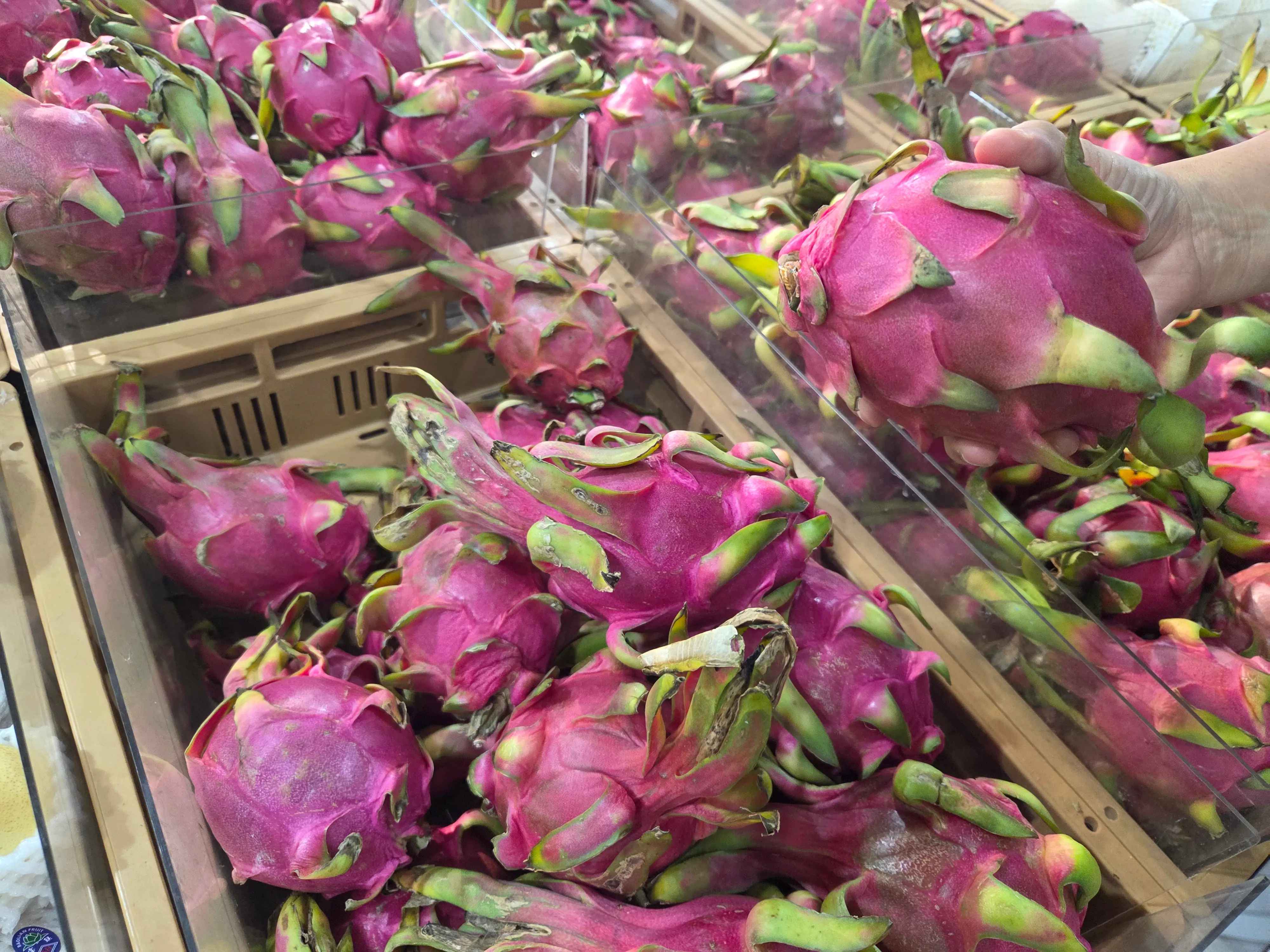 dragon fruit in baskets