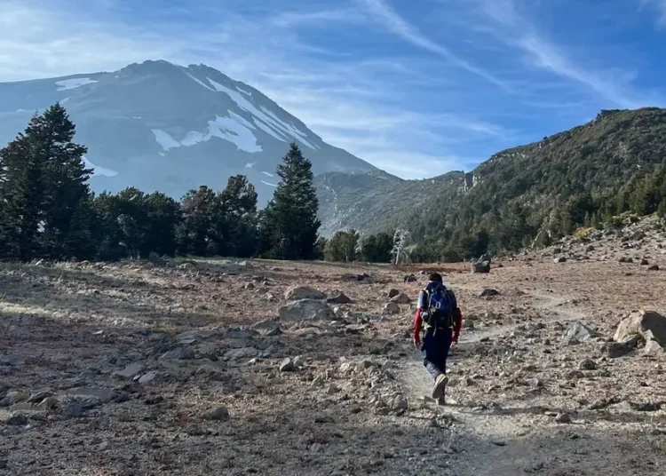 Hikers ‘relied too much’ on AI and had to be rescued. A ranger says it wasn’t the first AI-related mishap he’s seen.