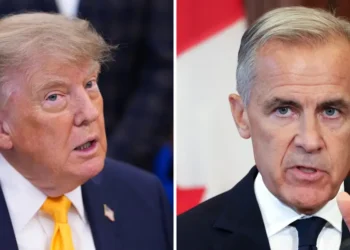 Canada’s incoming tariffs target US cheese, honey, aluminum foil, and hundreds of other items as trade war heats up