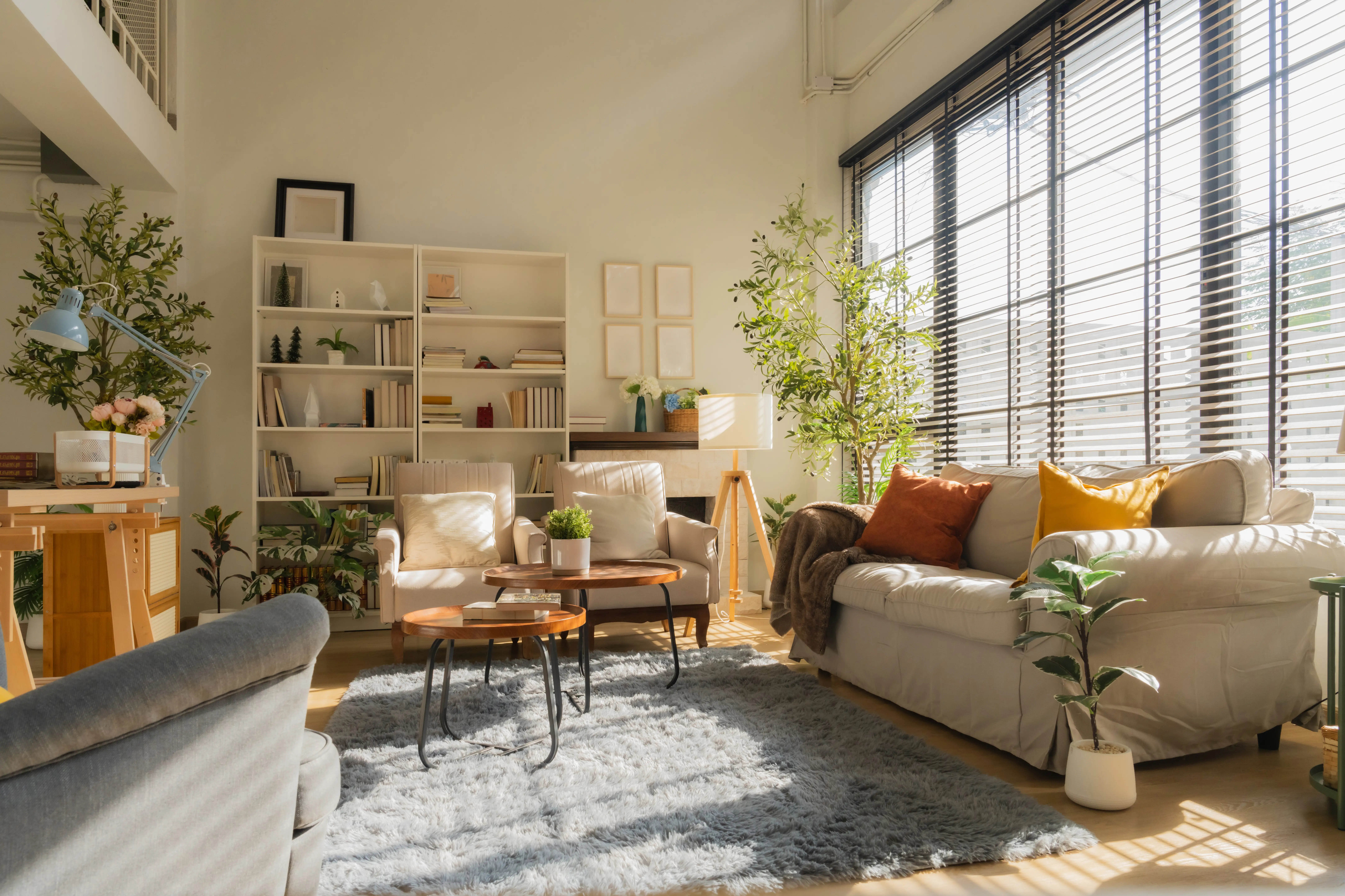 Living rom with white couch, blue rug