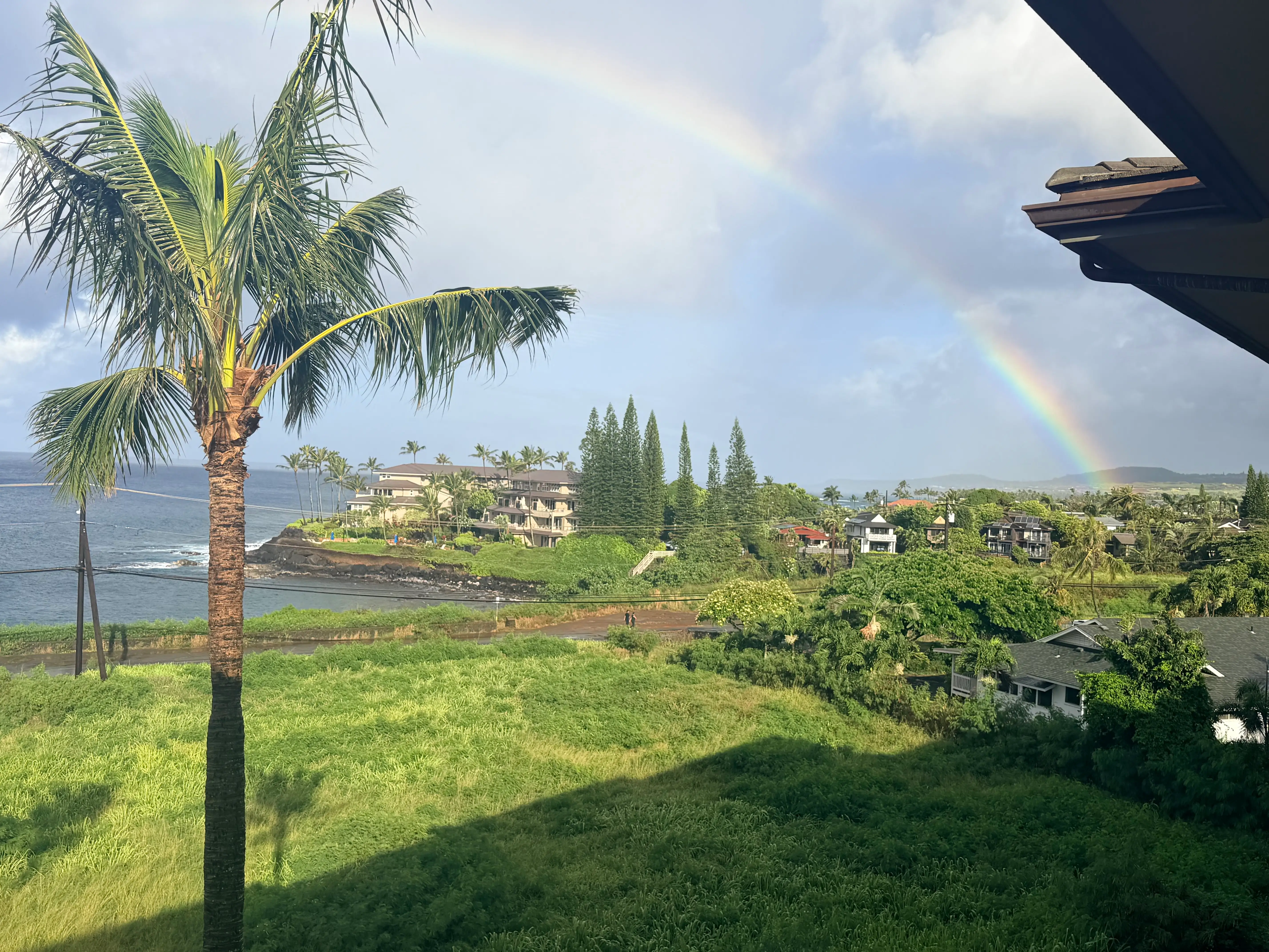 a view of green landscape with a rainbow after a storm