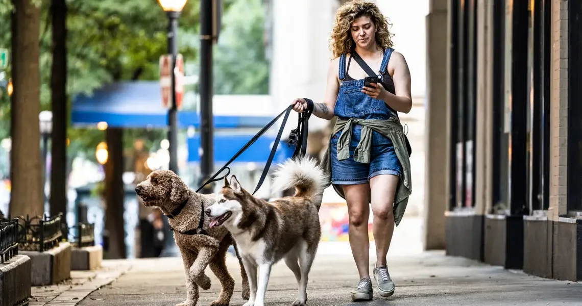 The side-hustle economy is getting more middle-class