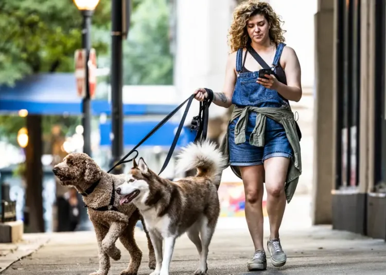 The side-hustle economy is getting more middle-class