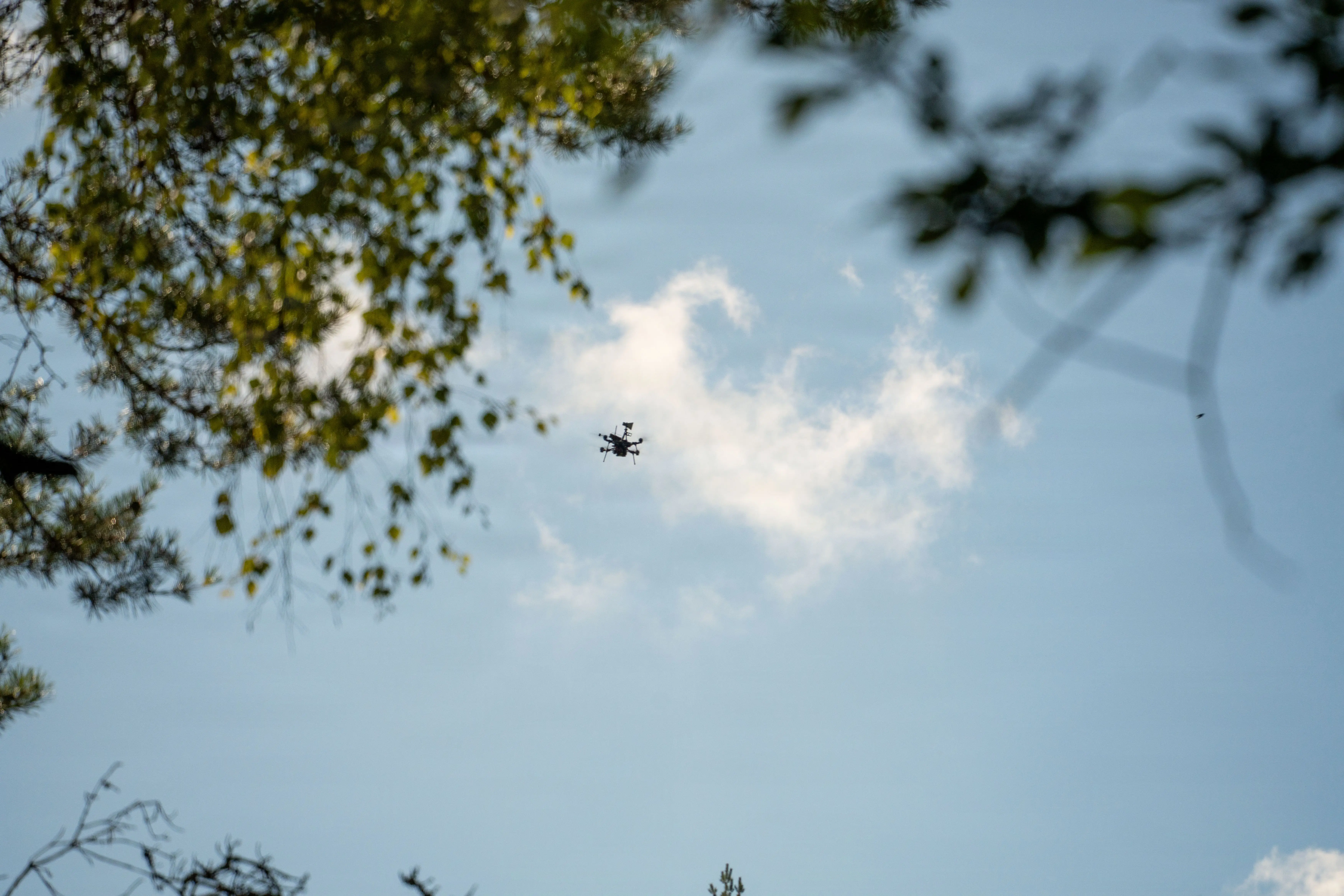 A small black quadcopter drone is seen flying in the sky above trees.