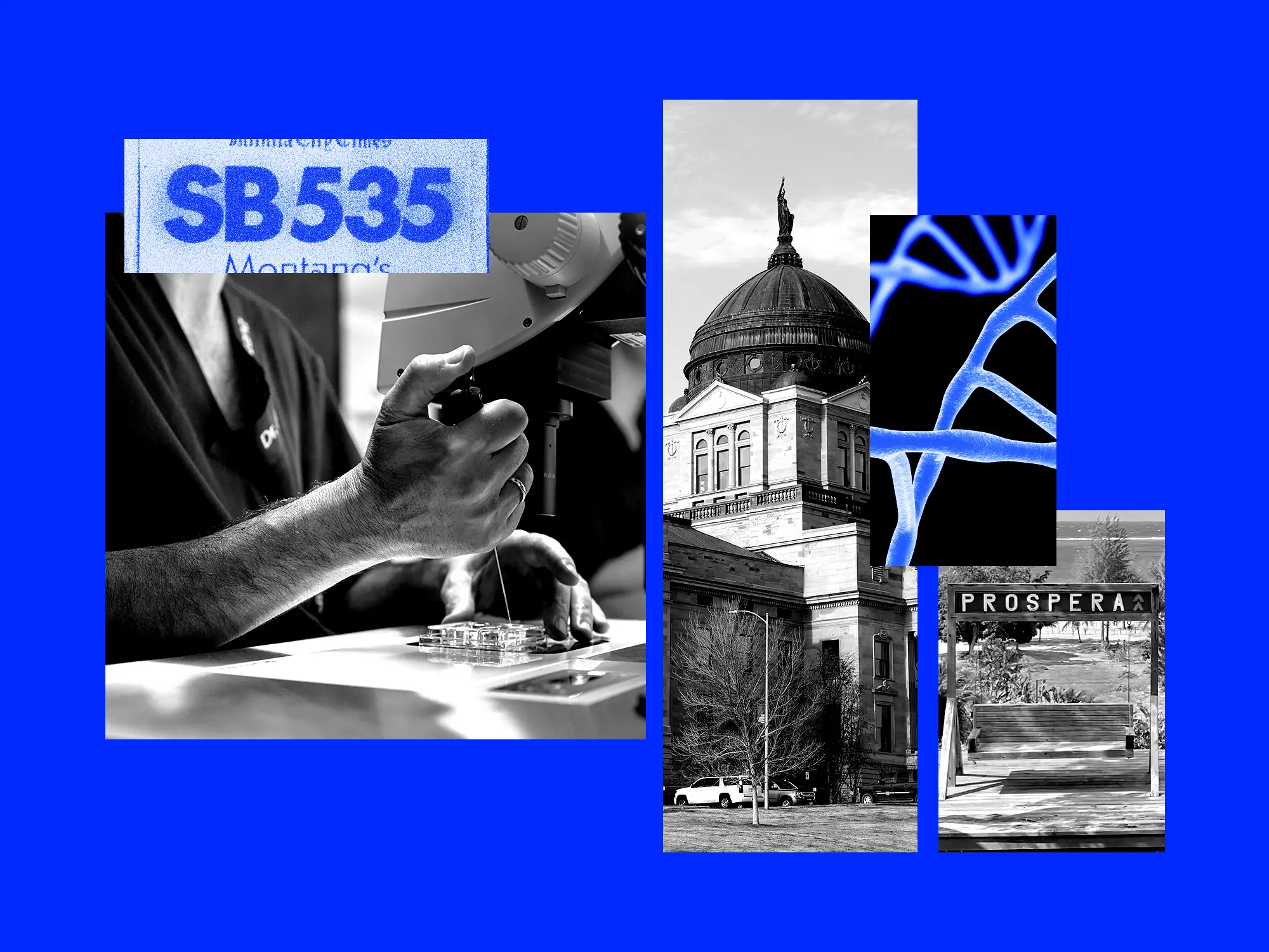 Collage shows lab technician, the Montana State Capitol, DNA imagery, and snippets reading 