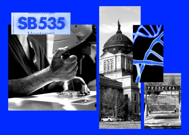 Montana’s experimental treatment law hands a VC the keys