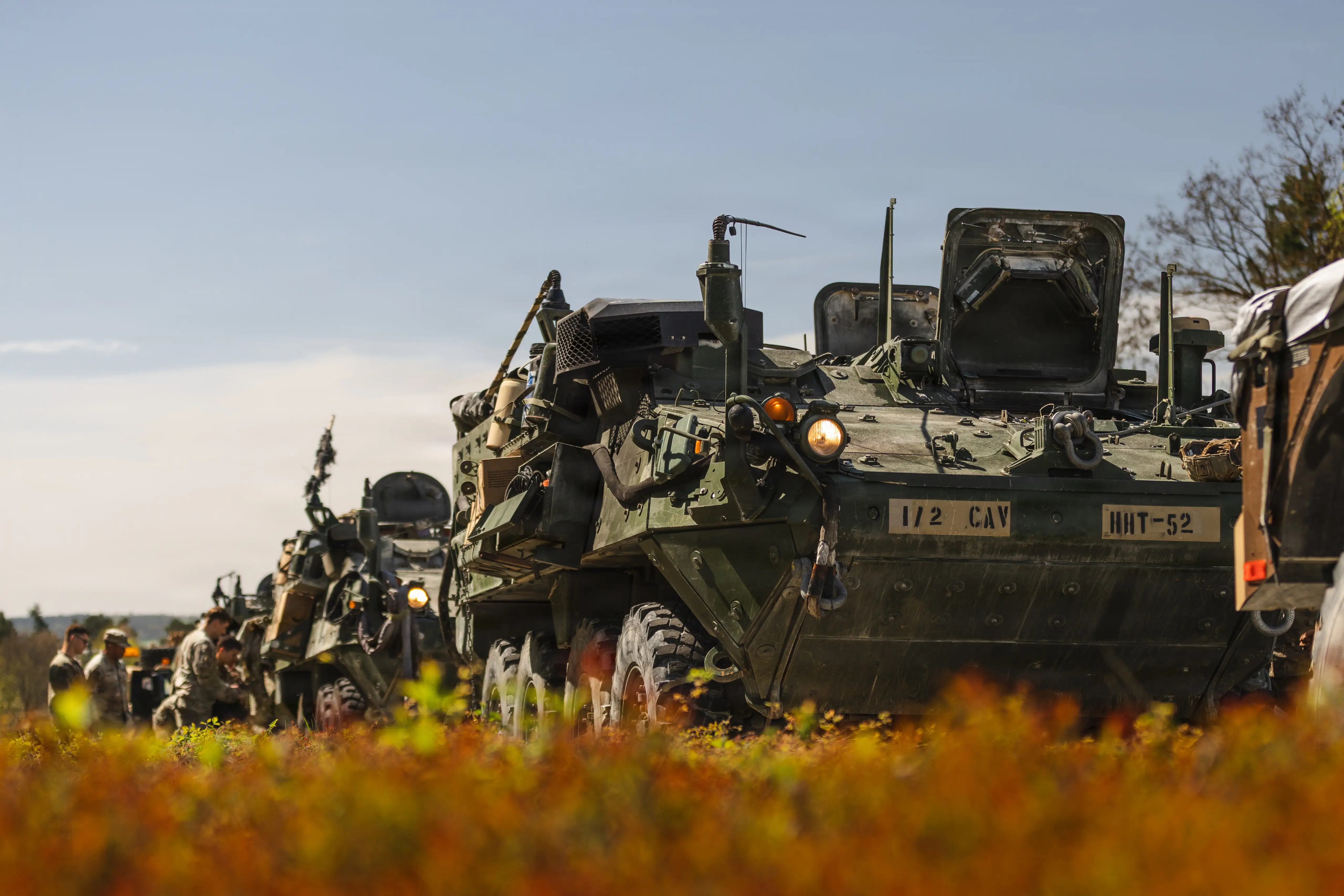 US Army Stryker vehicles are lined up in grass against a grey sky.
