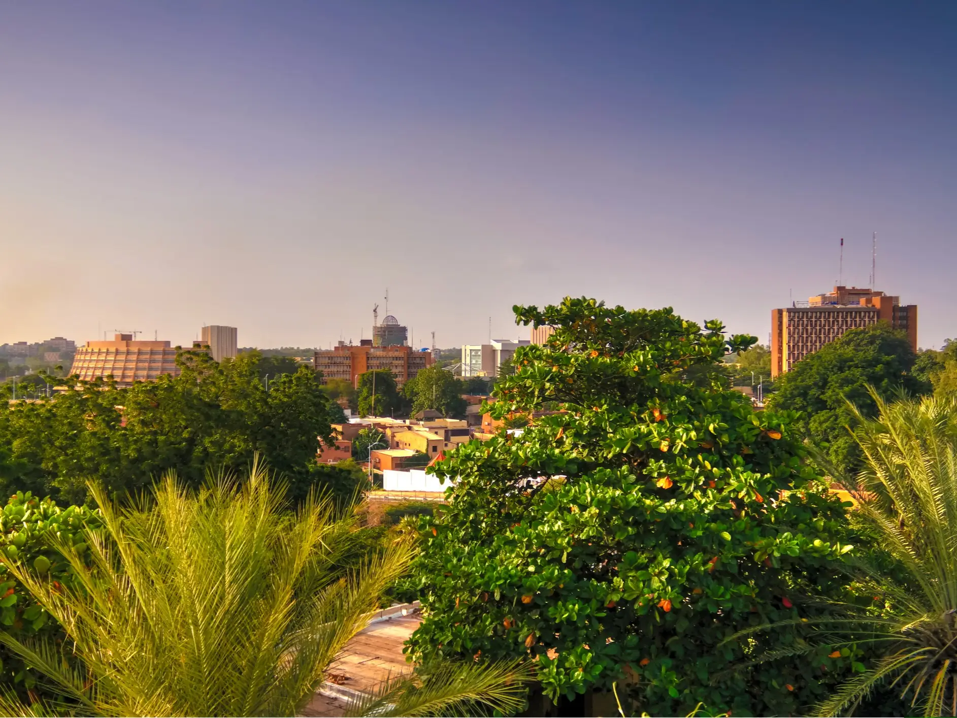 Urban skyline and mid-rise buildings rise beyond dense green trees under a hazy blue sky.