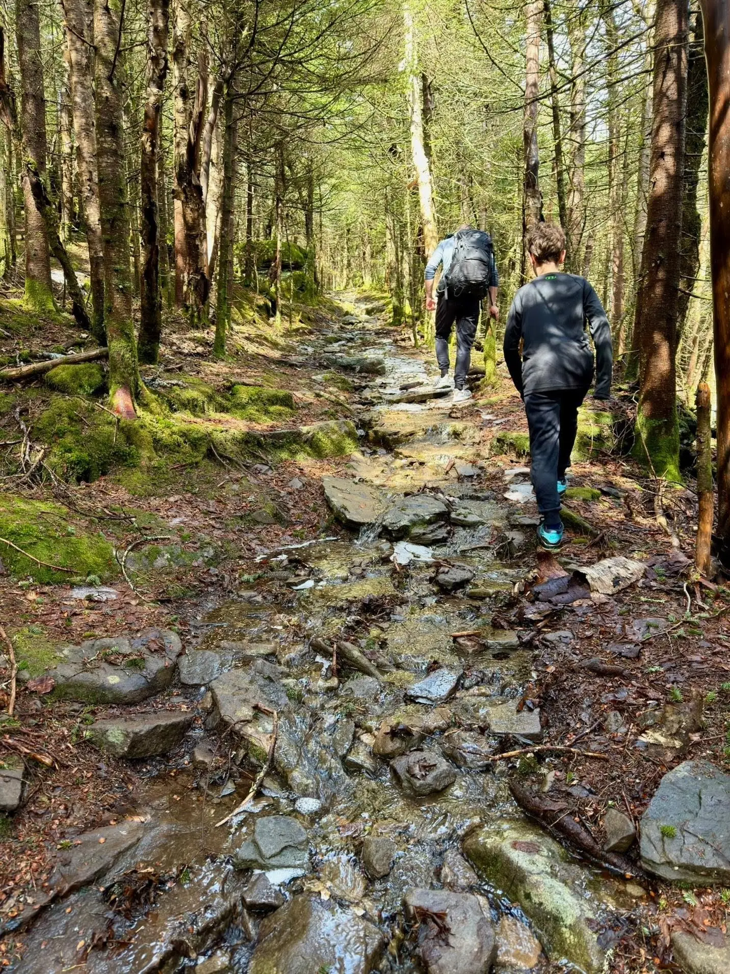 the author's family hiking in the Catskills