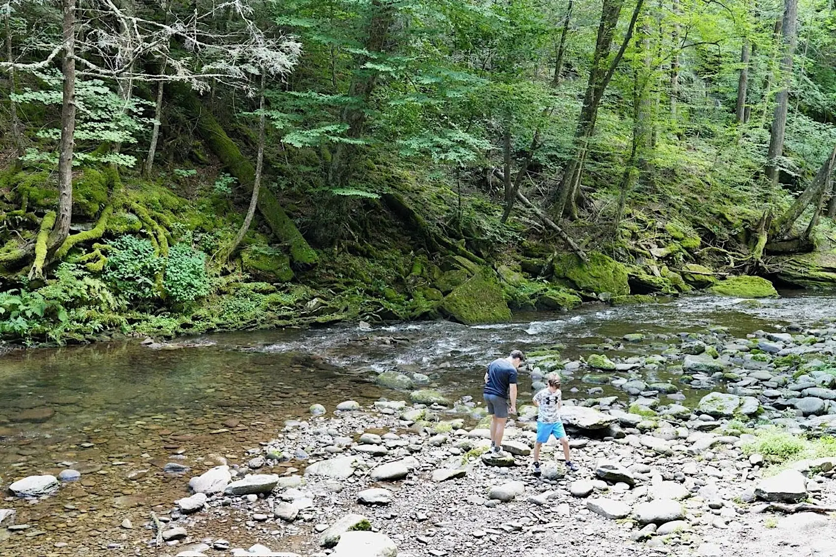 the author's family hiking on a river in the Catskills