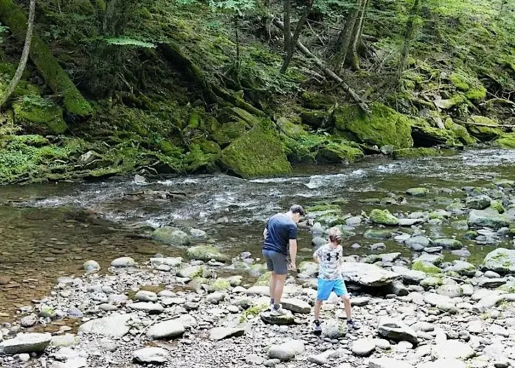 My family of 4 visits the same vacation spot multiple times a year. I hope my kids look back on it fondly.