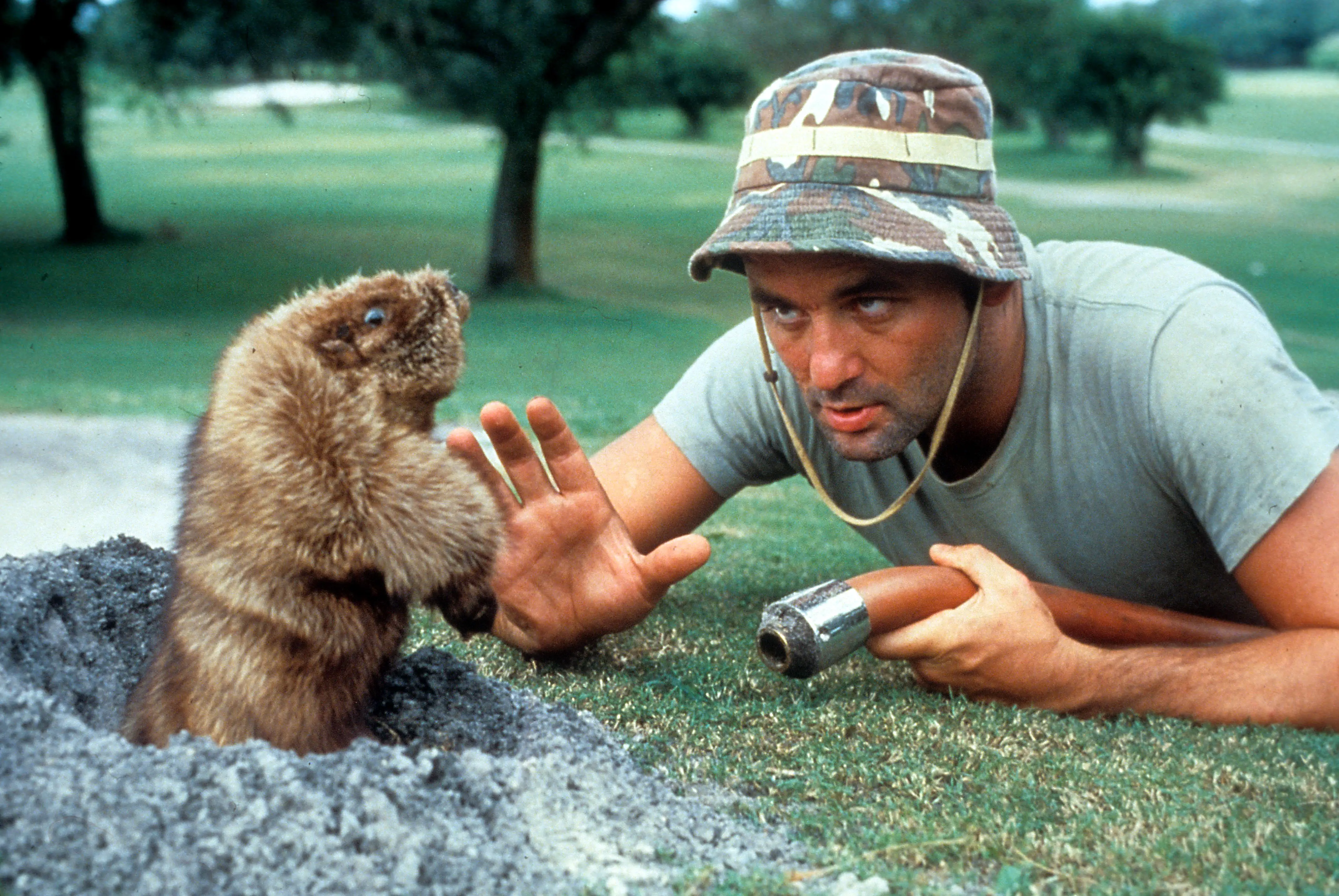 Bill Murray looking at a mischievous gopher.