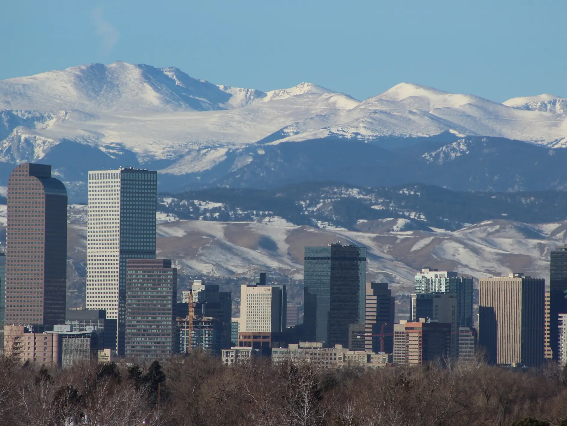 Downtown Denver skyline stands before snow-covered Rocky Mountains under a clear blue sky.