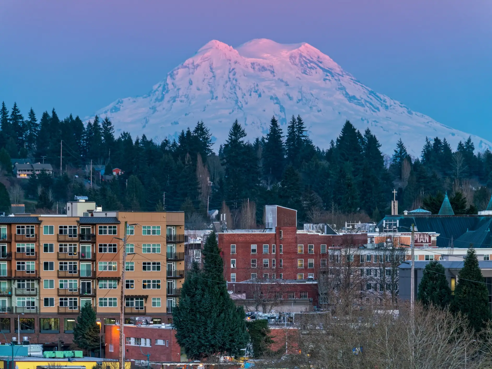 Snow-covered Mount Rainier rises behind evergreen trees and urban apartment buildings at dusk.
