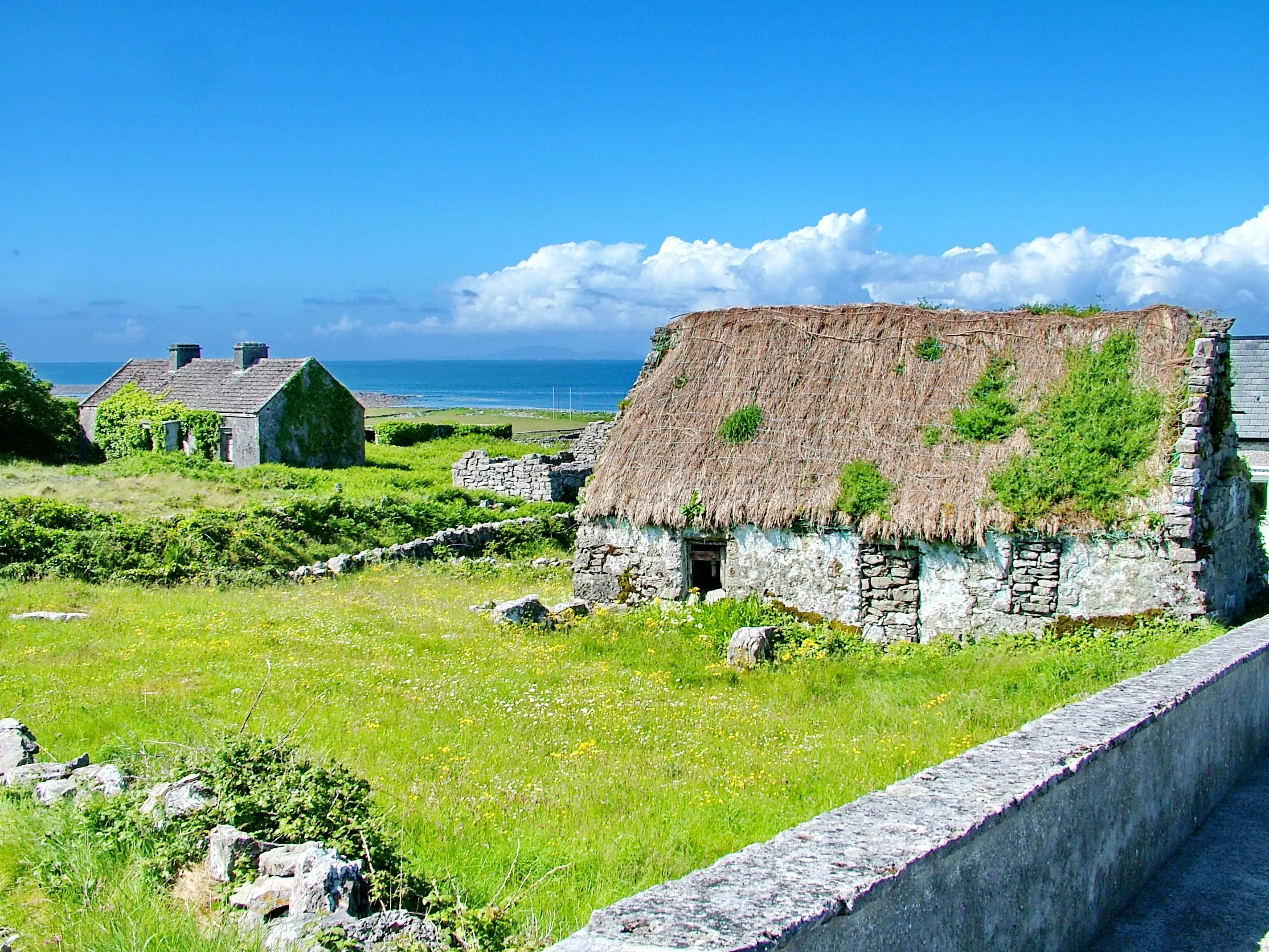 Stone cottages with a thatched roof stand in green coastal fields beside a blue ocean under a clear sky.