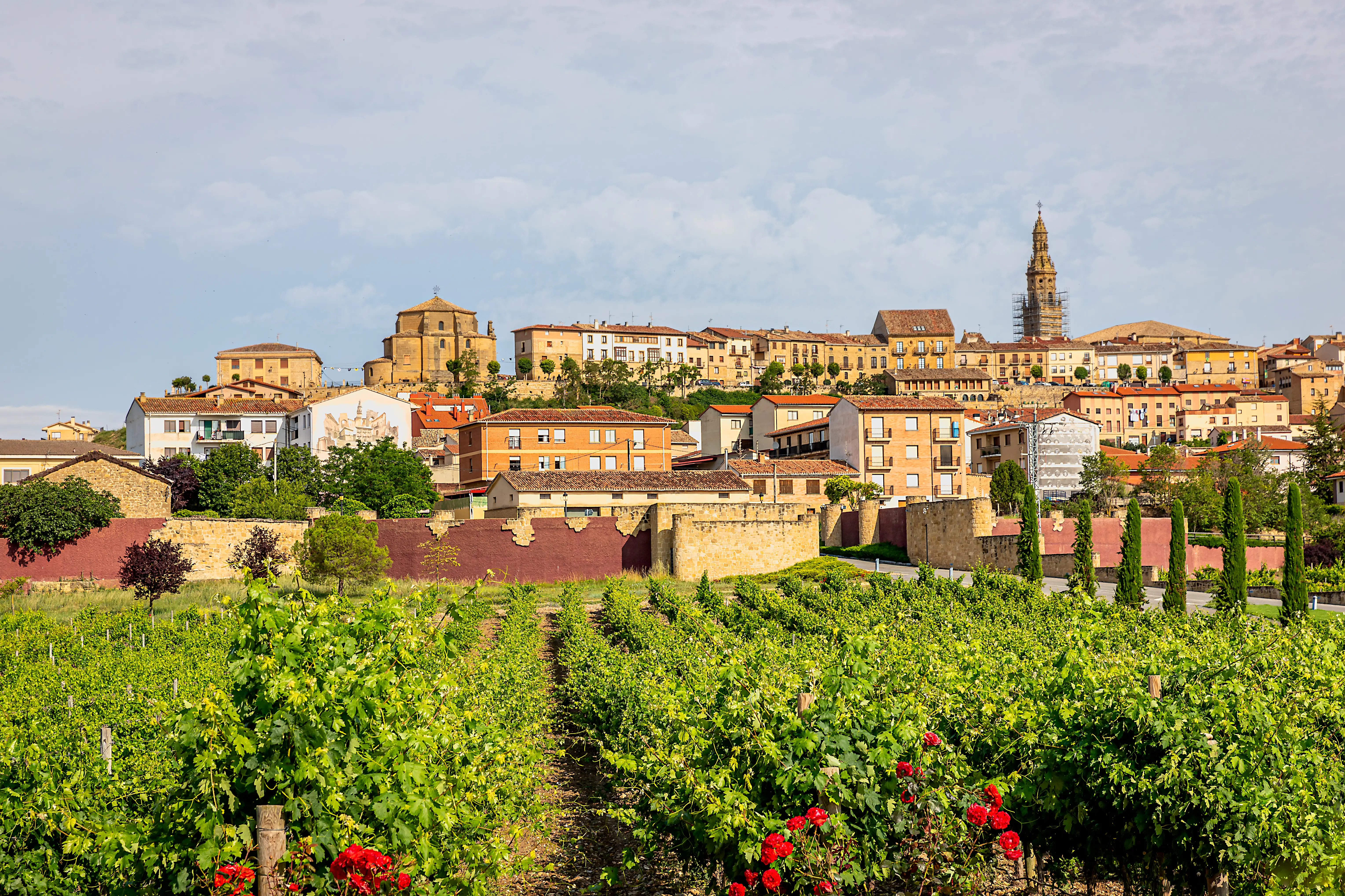 Vineyard rows lead toward a historic hillside town with stone buildings and a prominent church tower.