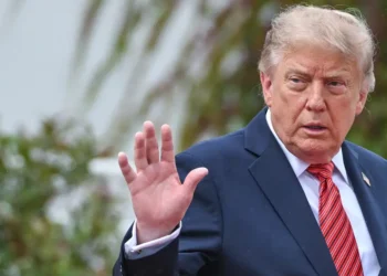 Trump lashes out at Dario Amodei after the Anthropic CEO called for a slowdown in AI development