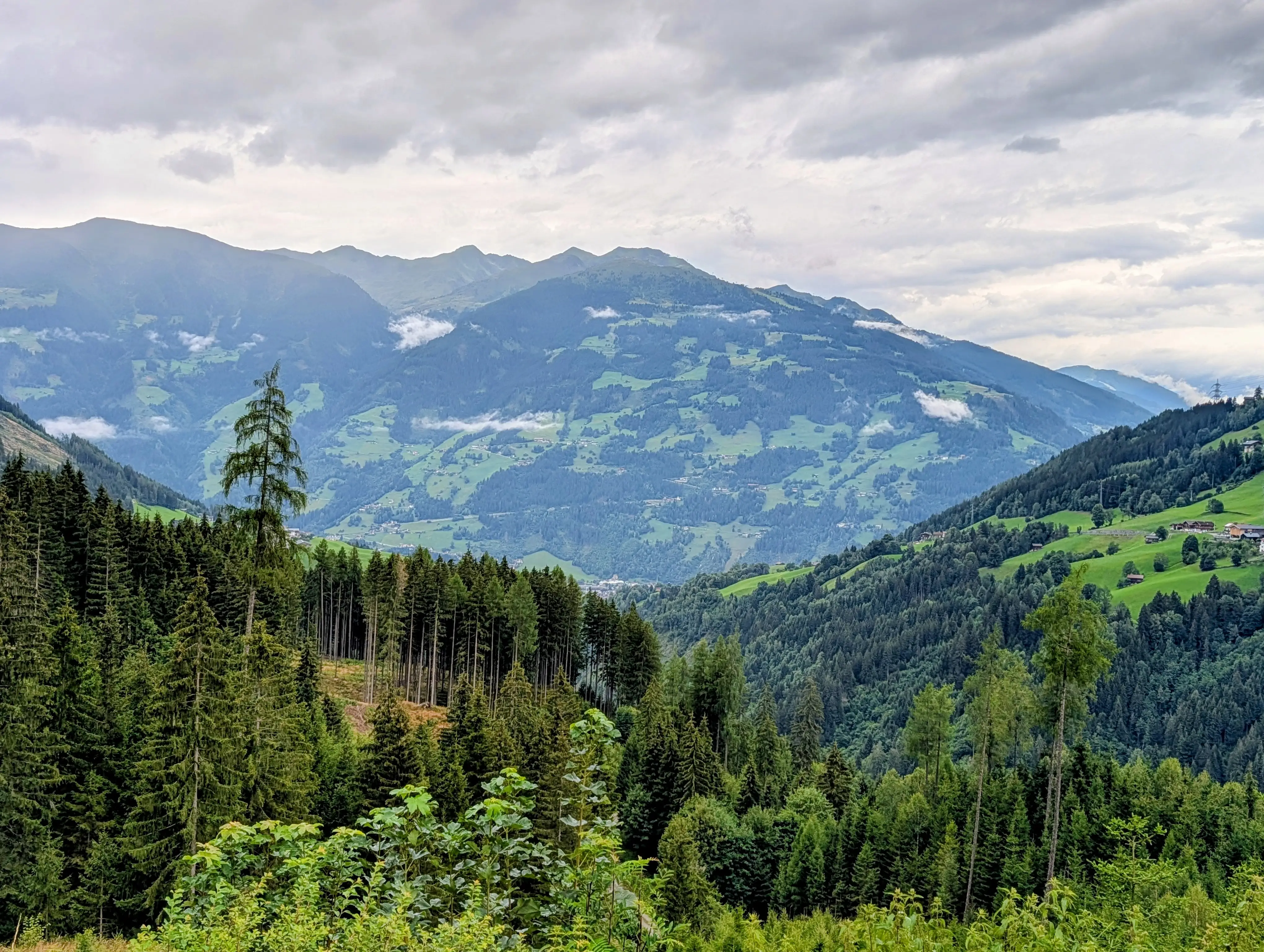 View of mountains, trees from Almhof Resort