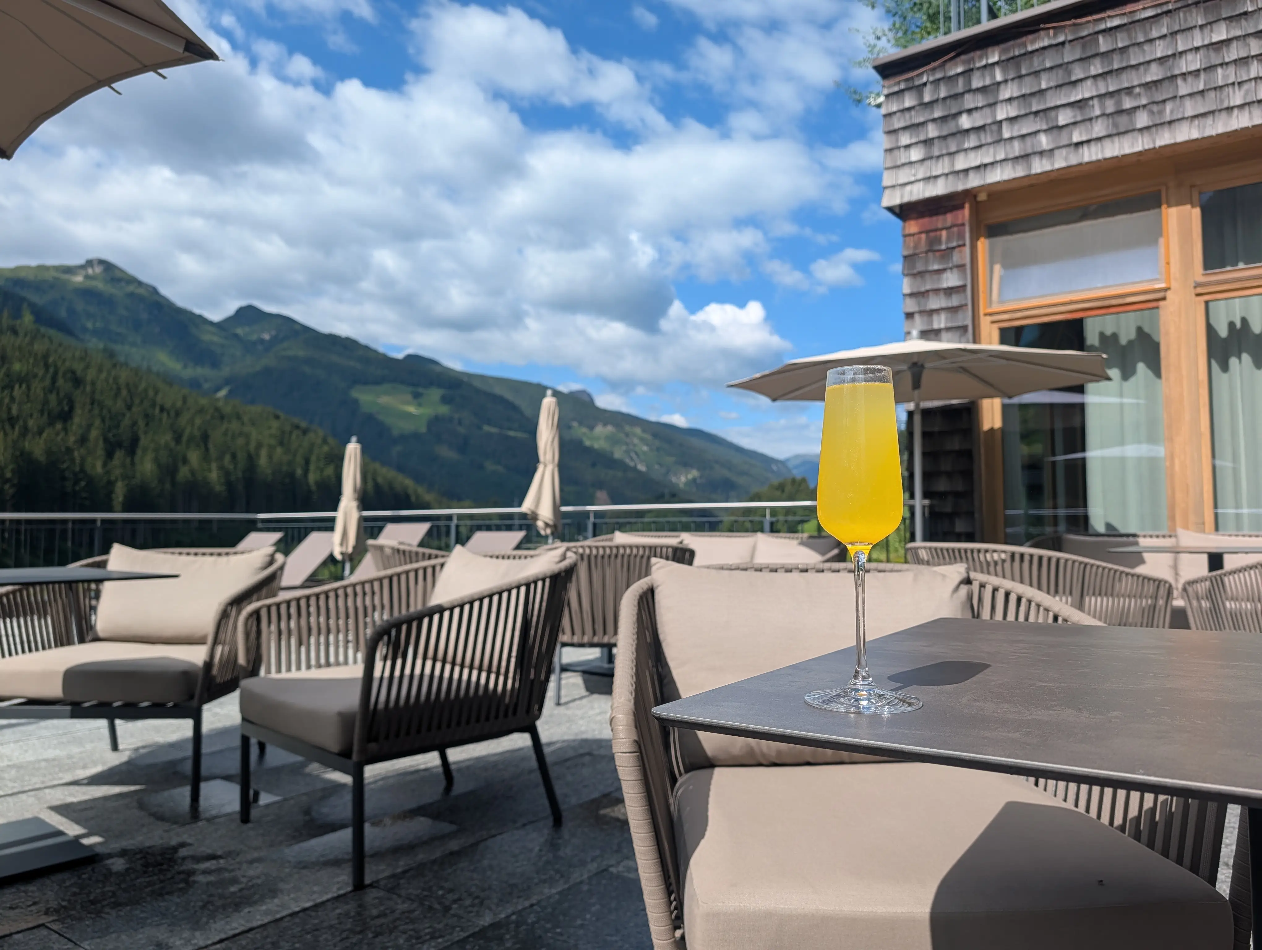 Mimosa on counter with view of terace at Almhof resort