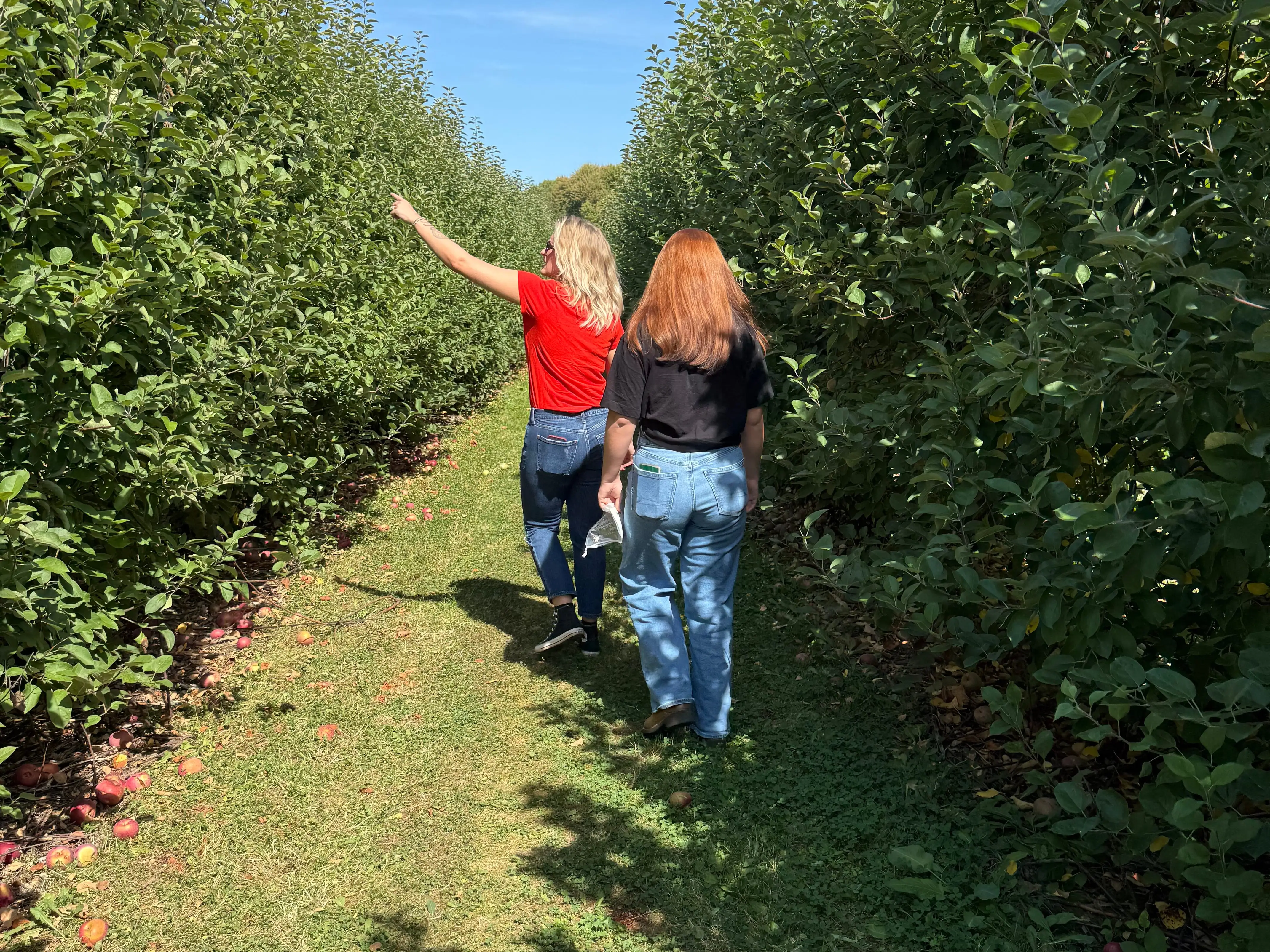 mom and daughter walking through trees
