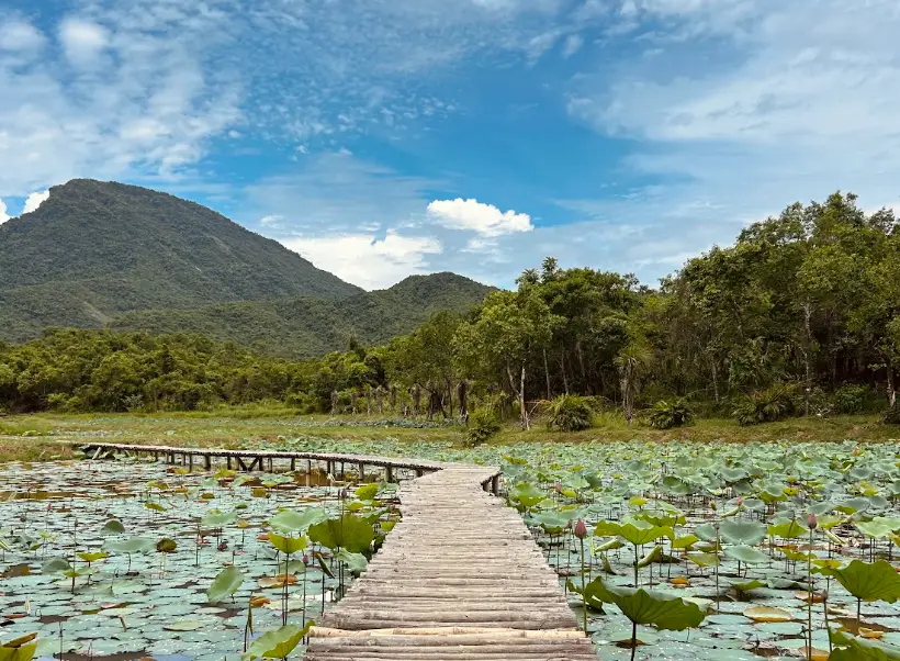 Wooden boardwalk crosses a lotus-filled wetland toward forested hills under a partly cloudy blue sky in Da Nang, Vietnam.