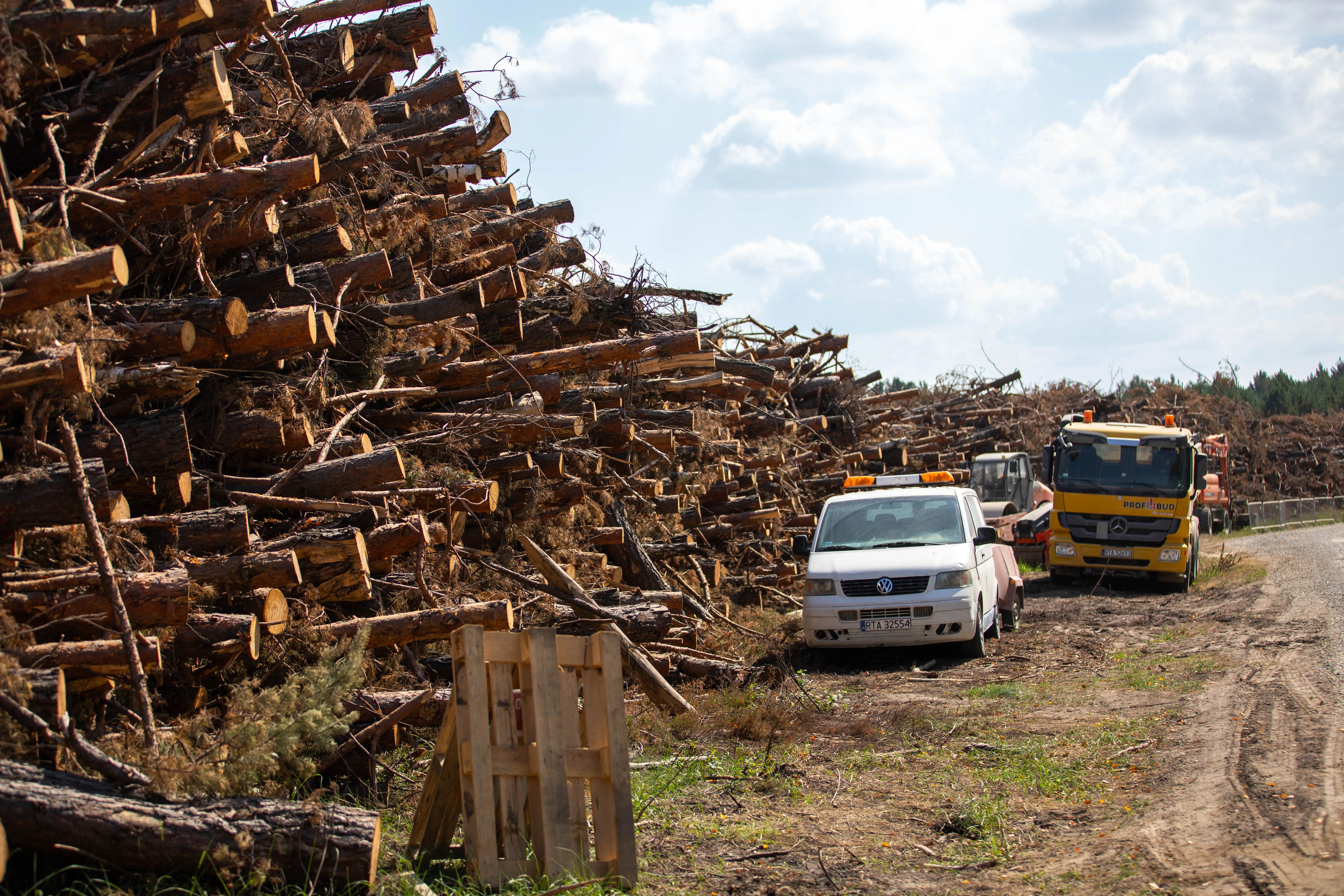 Large stacks of cut logs line a dirt road with utility trucks parked beside them.