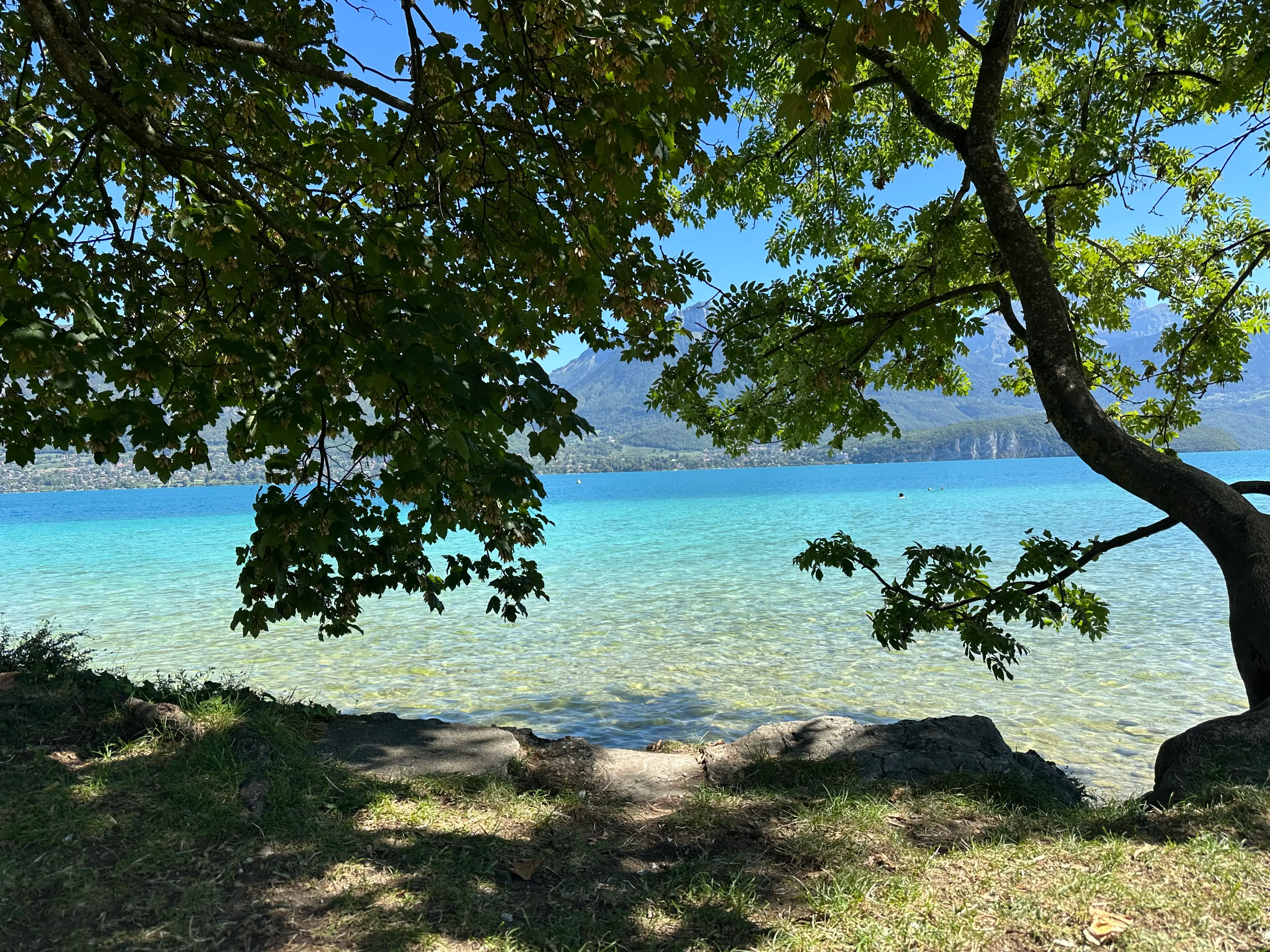 Clear turquoise lake water viewed through leafy trees with mountains visible across the shore.