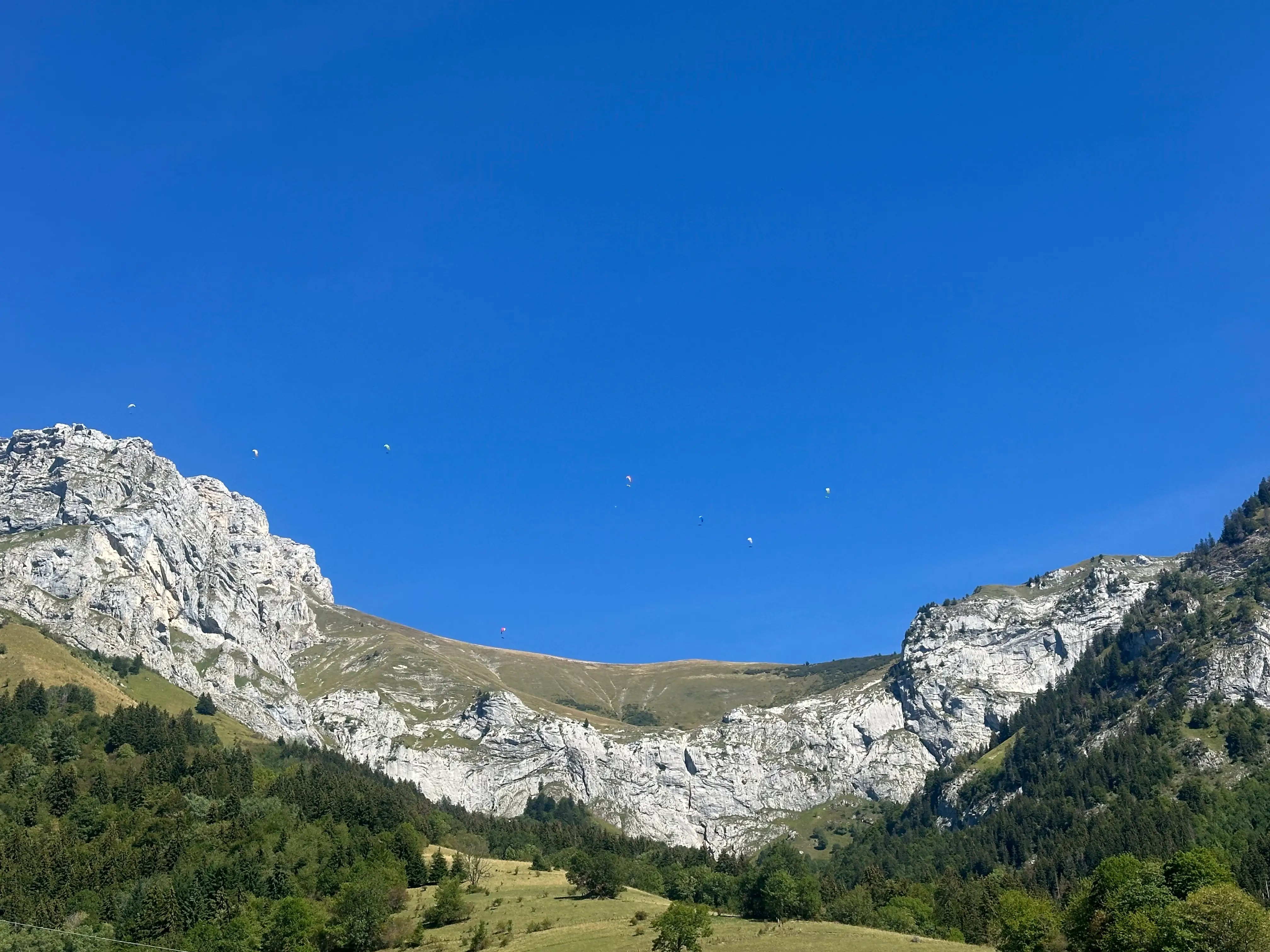 Rocky mountain cliffs and forested slopes beneath a clear blue sky with several distant paragliders.