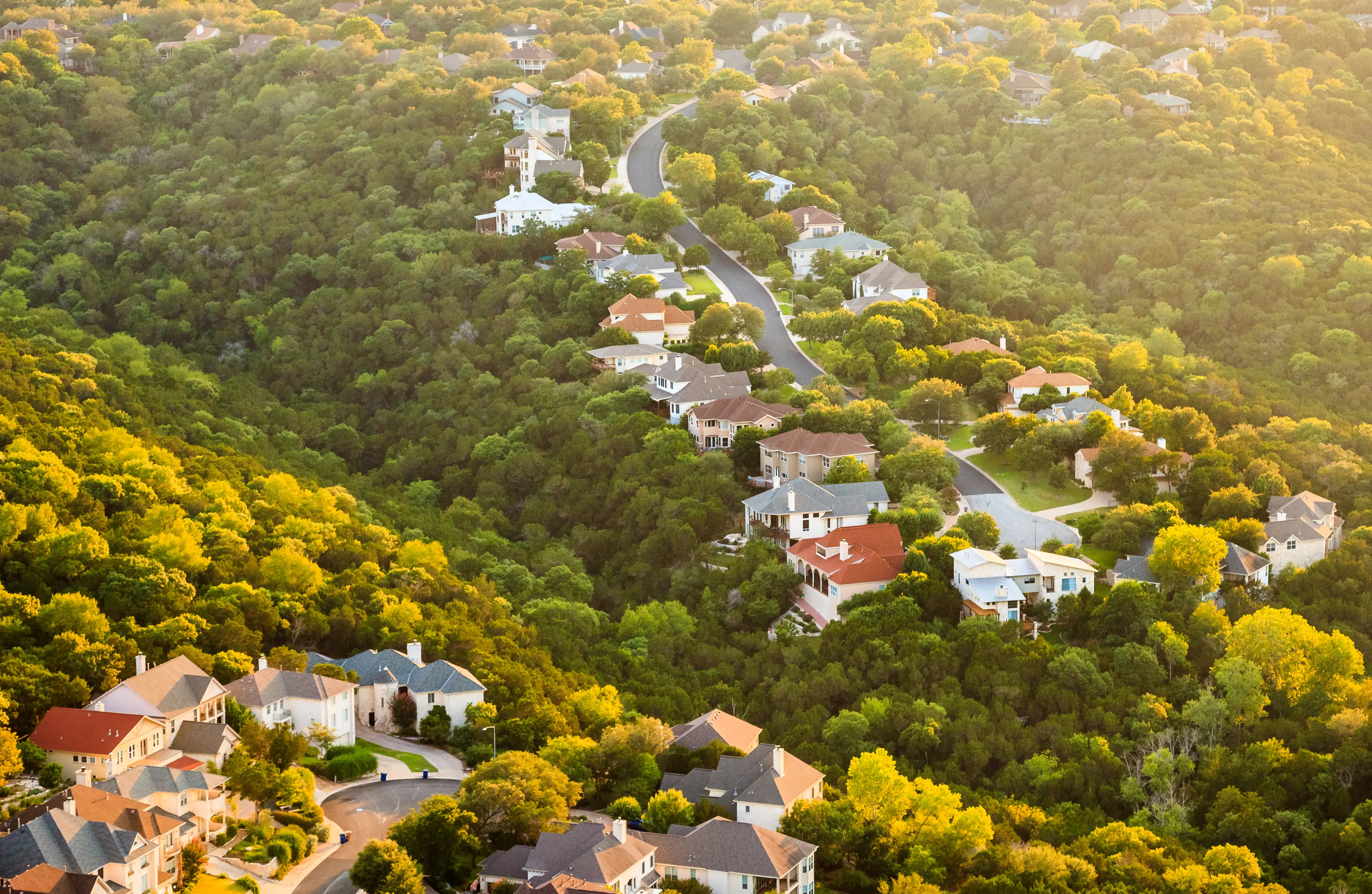 Aerial view of hillside homes and winding roads surrounded by dense green trees in warm sunlight.