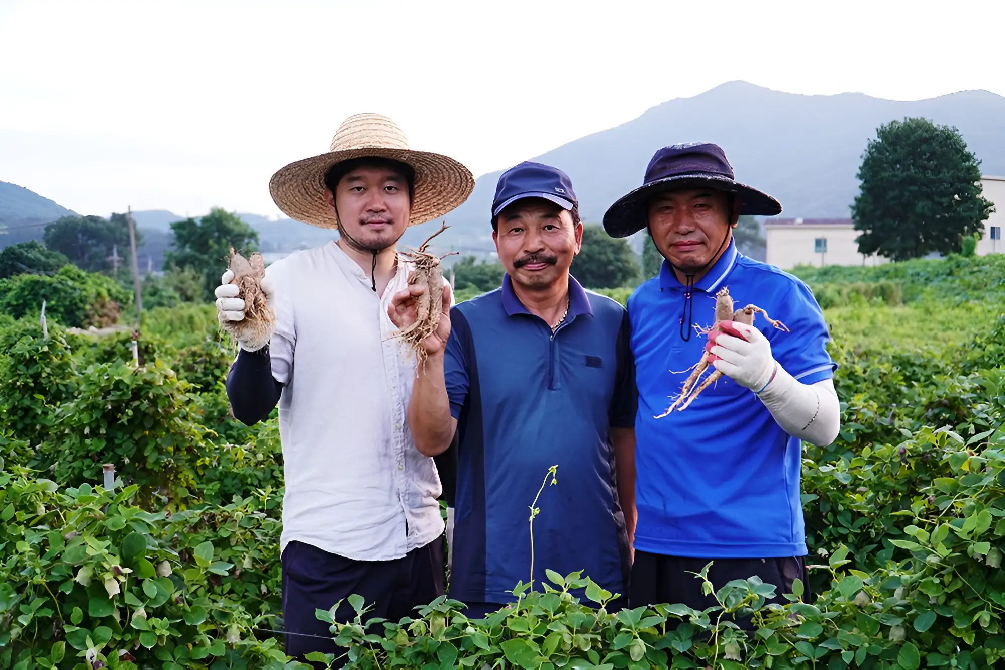 Family working together on South Korean farm.