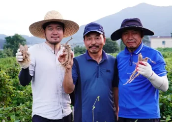 We quit our jobs to travel the world. Now my wife and I run her family’s farm in South Korea.