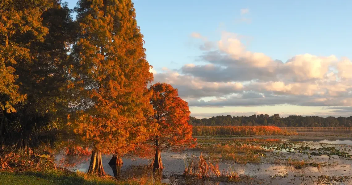 I’ve lived in Florida for 25 years. Here’s why I think fall is the best time to visit.